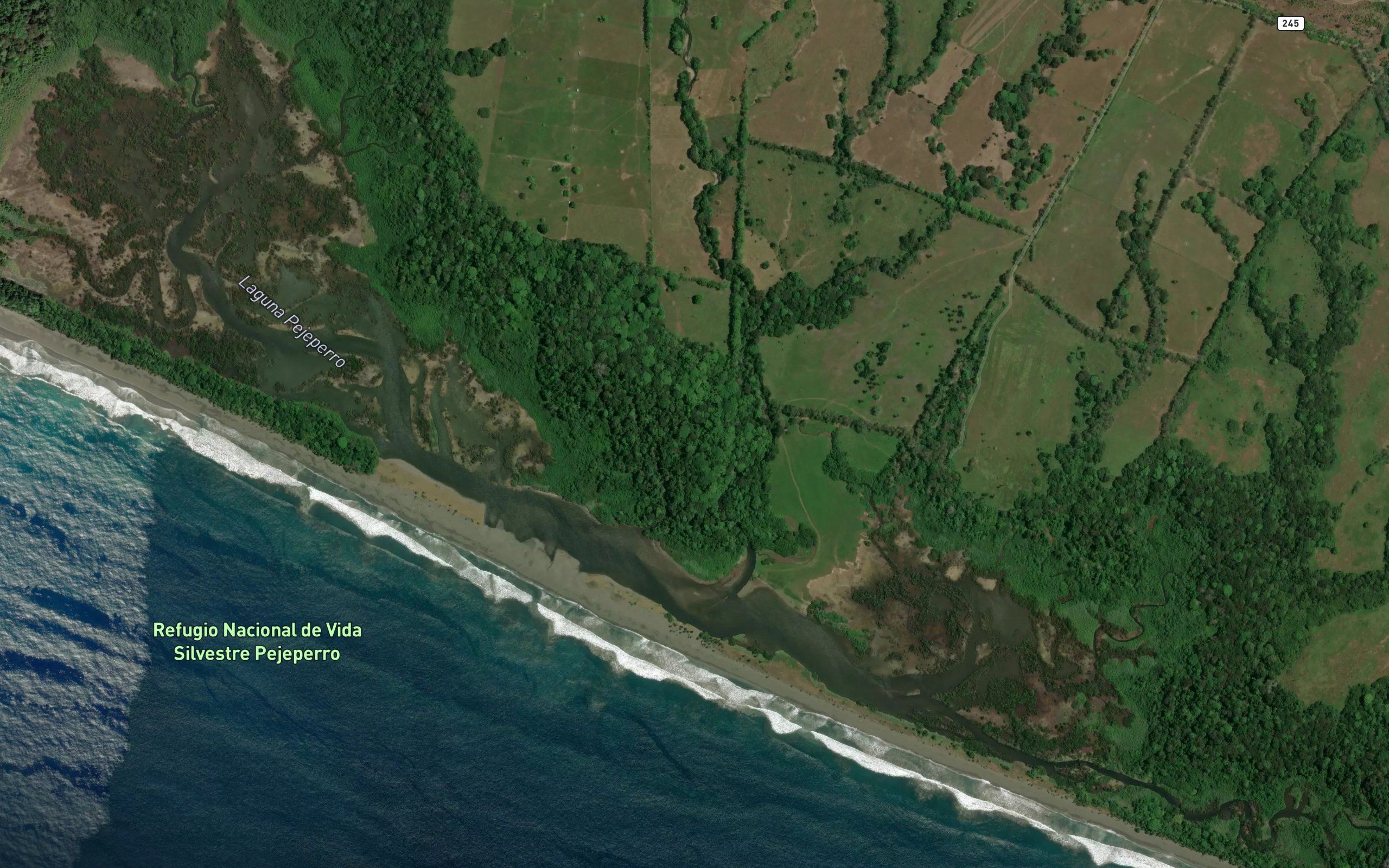 Laguna Pejeperro