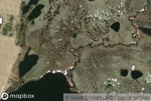 Skogvollelva
