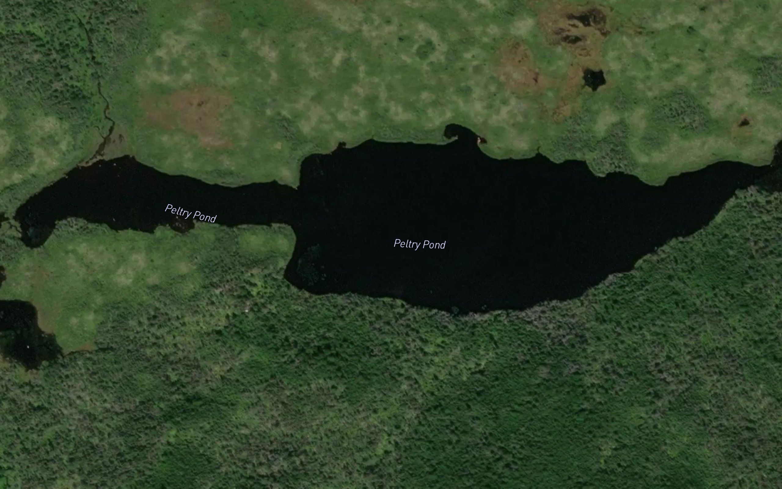 Peltry Pond