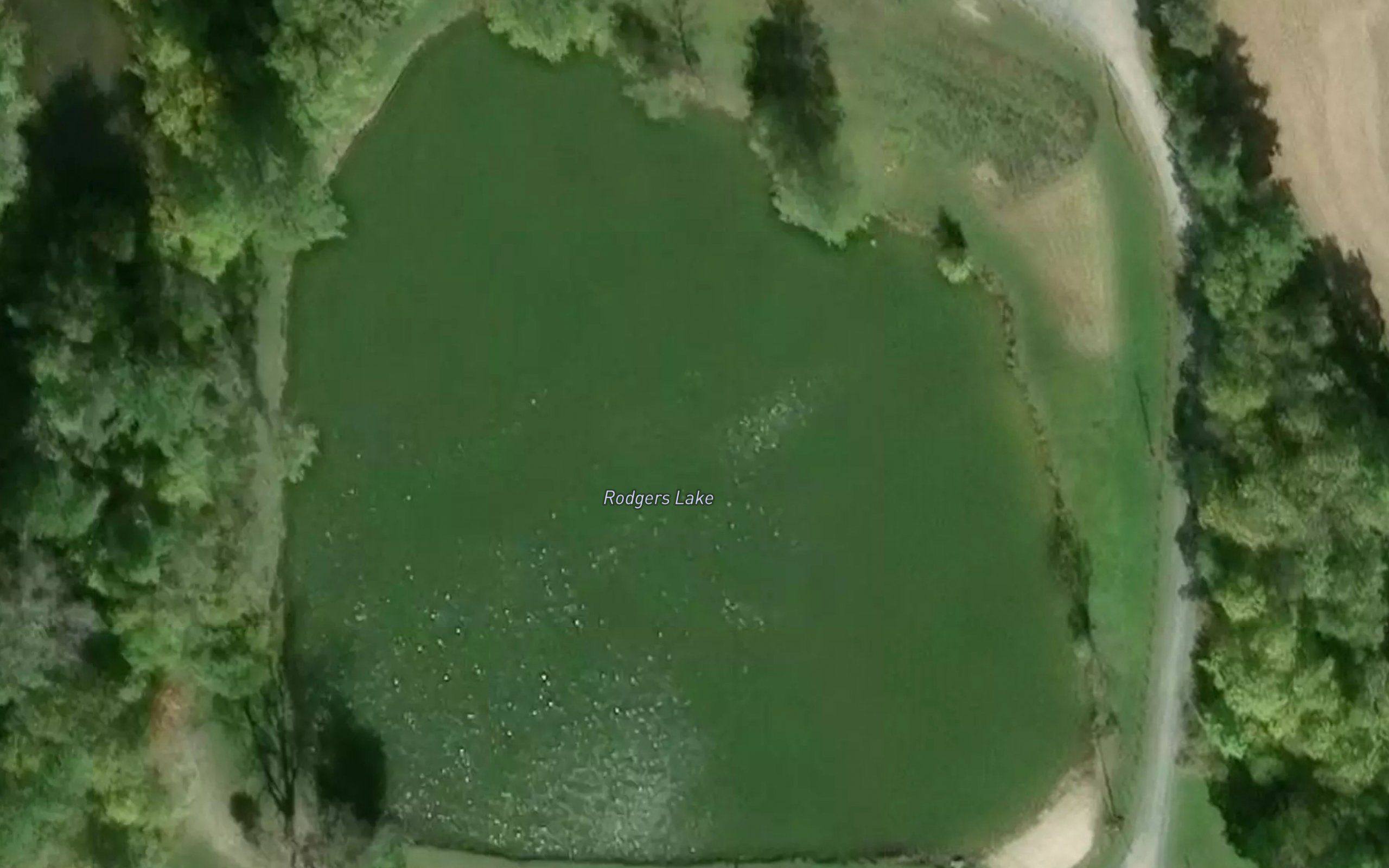 Rodgers Lake