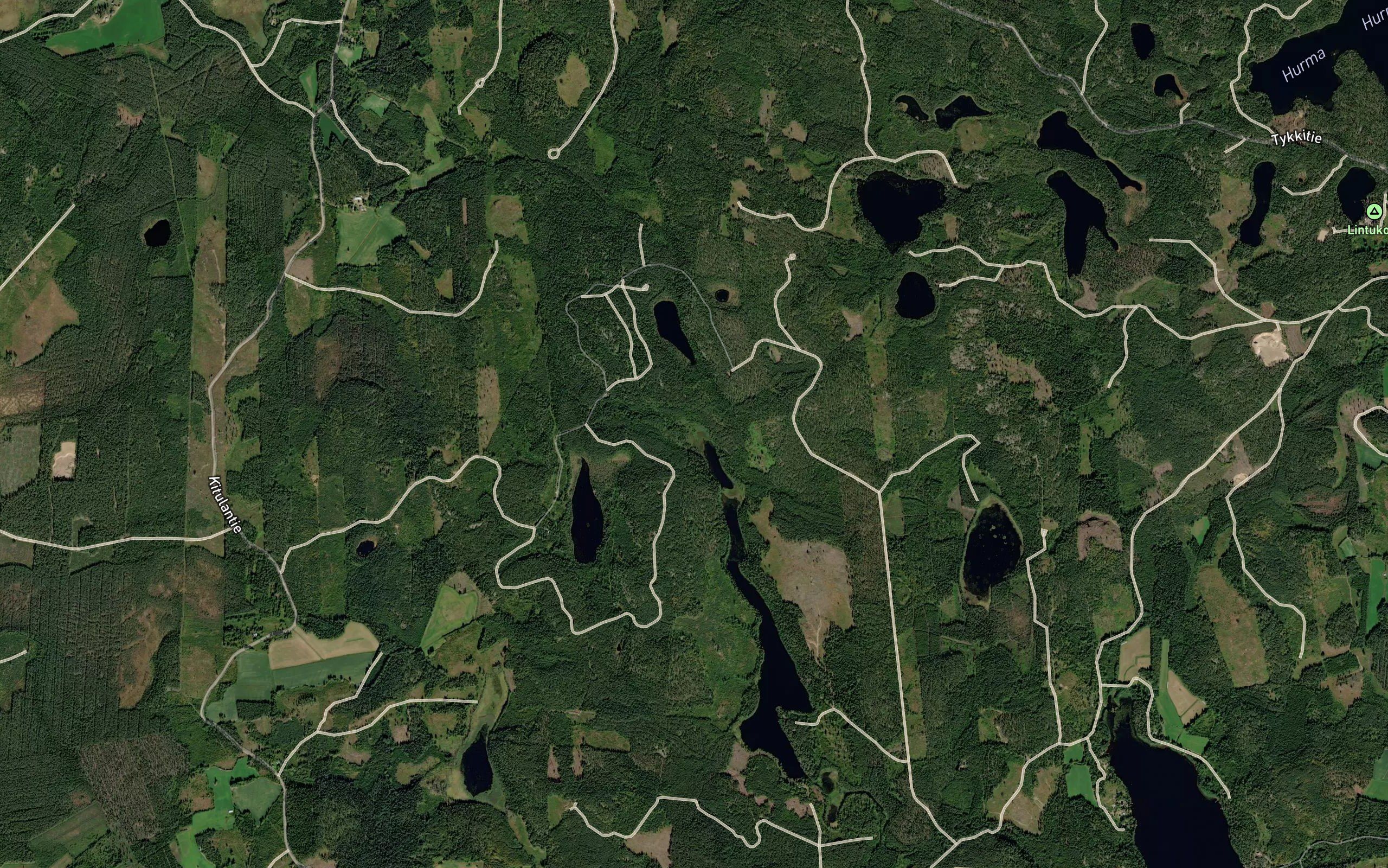 Sinkelinoja