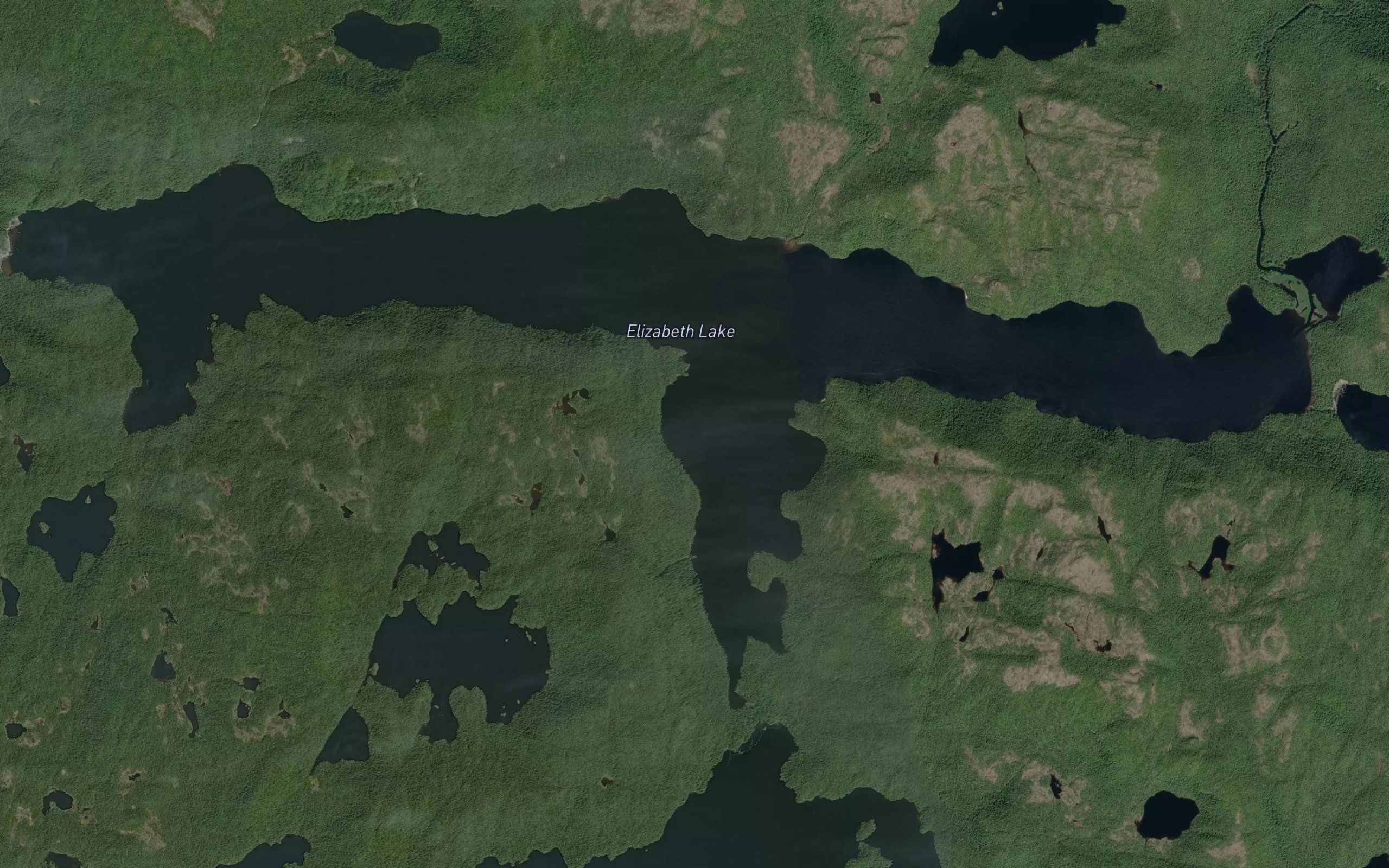 Elizabeth Lake