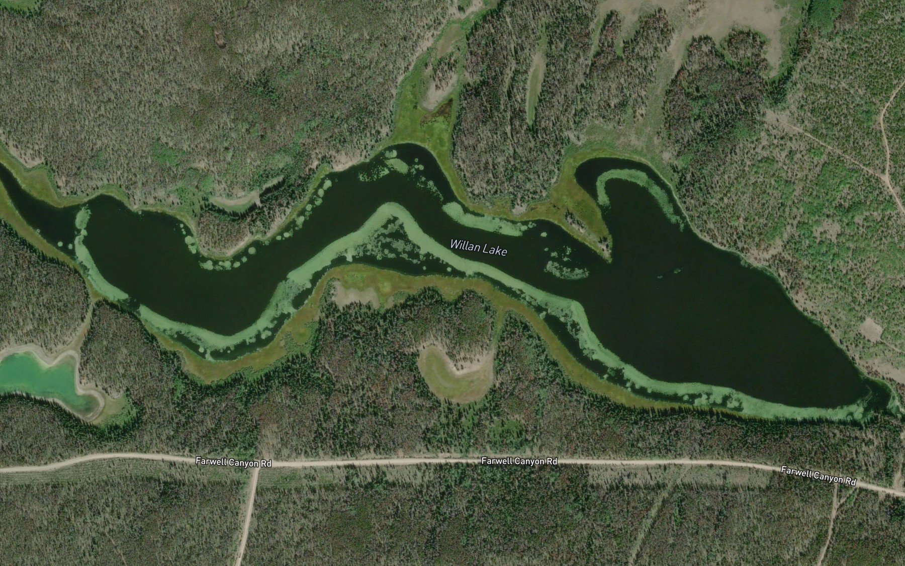 Satellite map of the Willan Lake