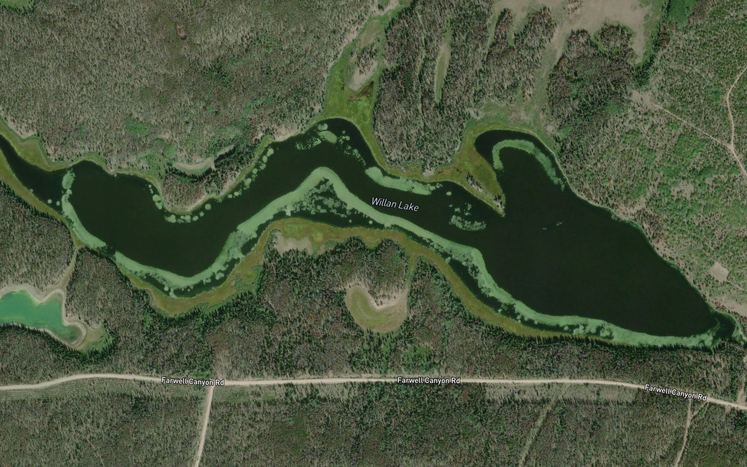 Willan Lake