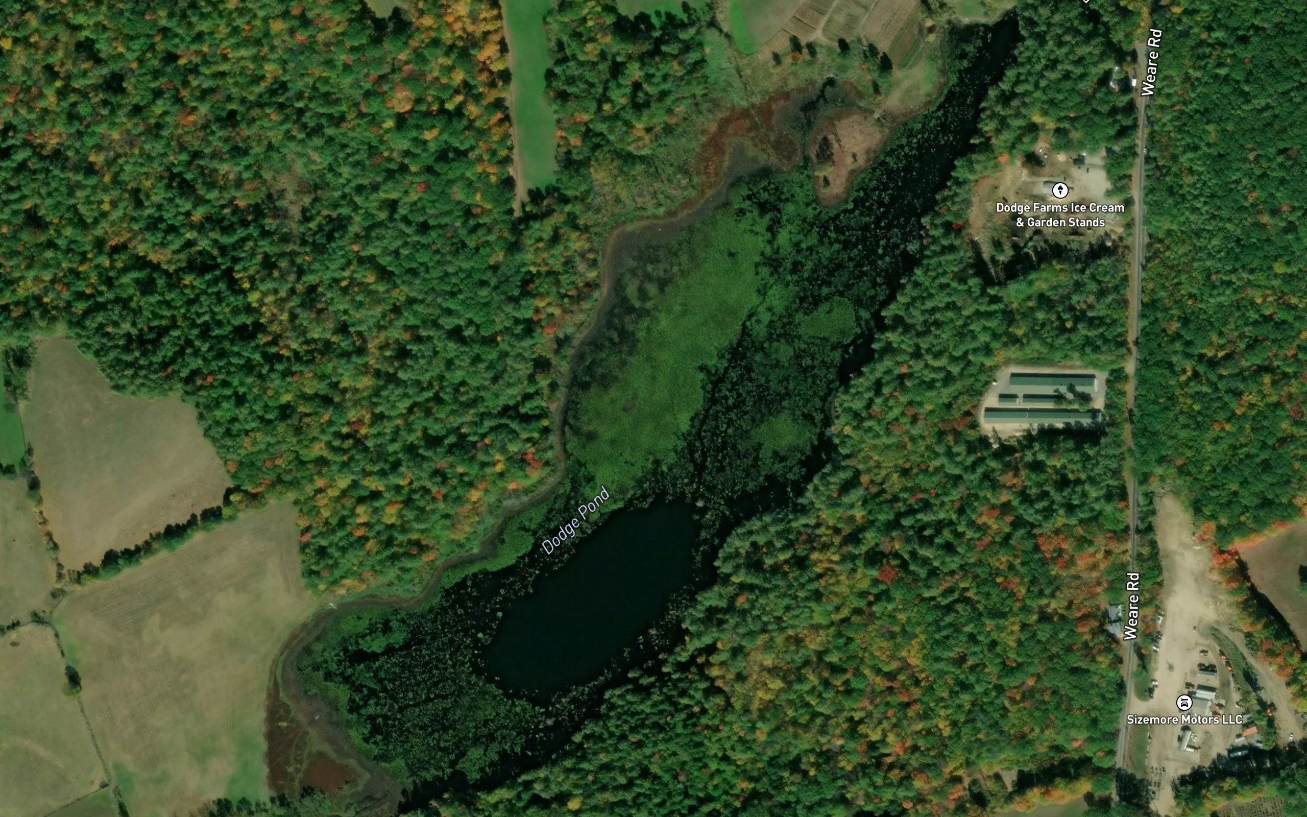 Dodge Pond