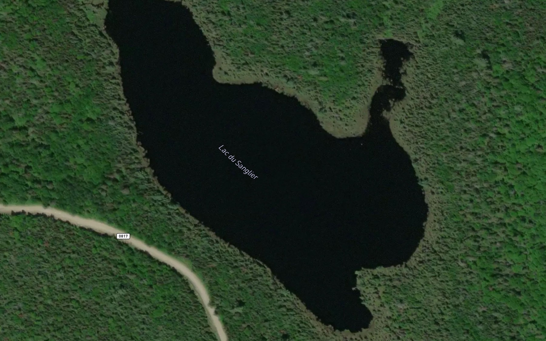 Satellite map of the Lac du Sanglier
