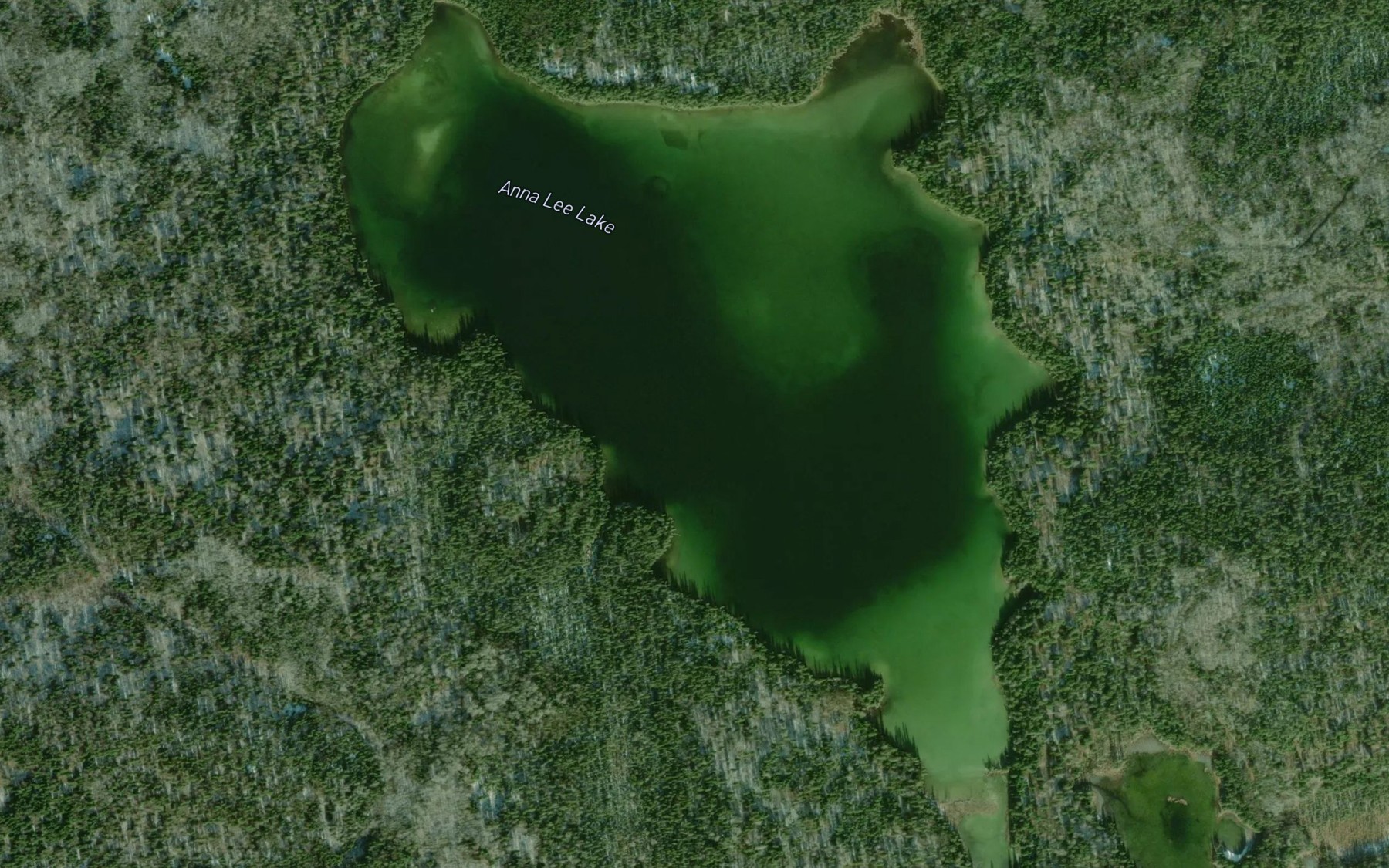 Satellite map of the Anna Lee Lake