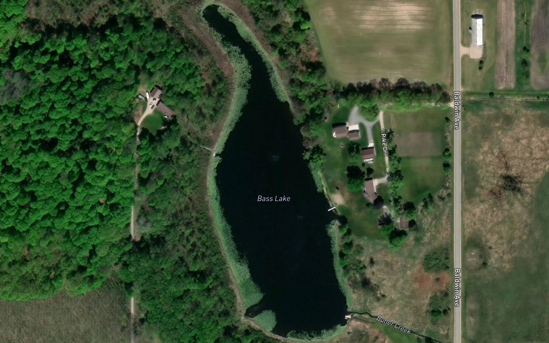 Satellite map of the Bass Lake