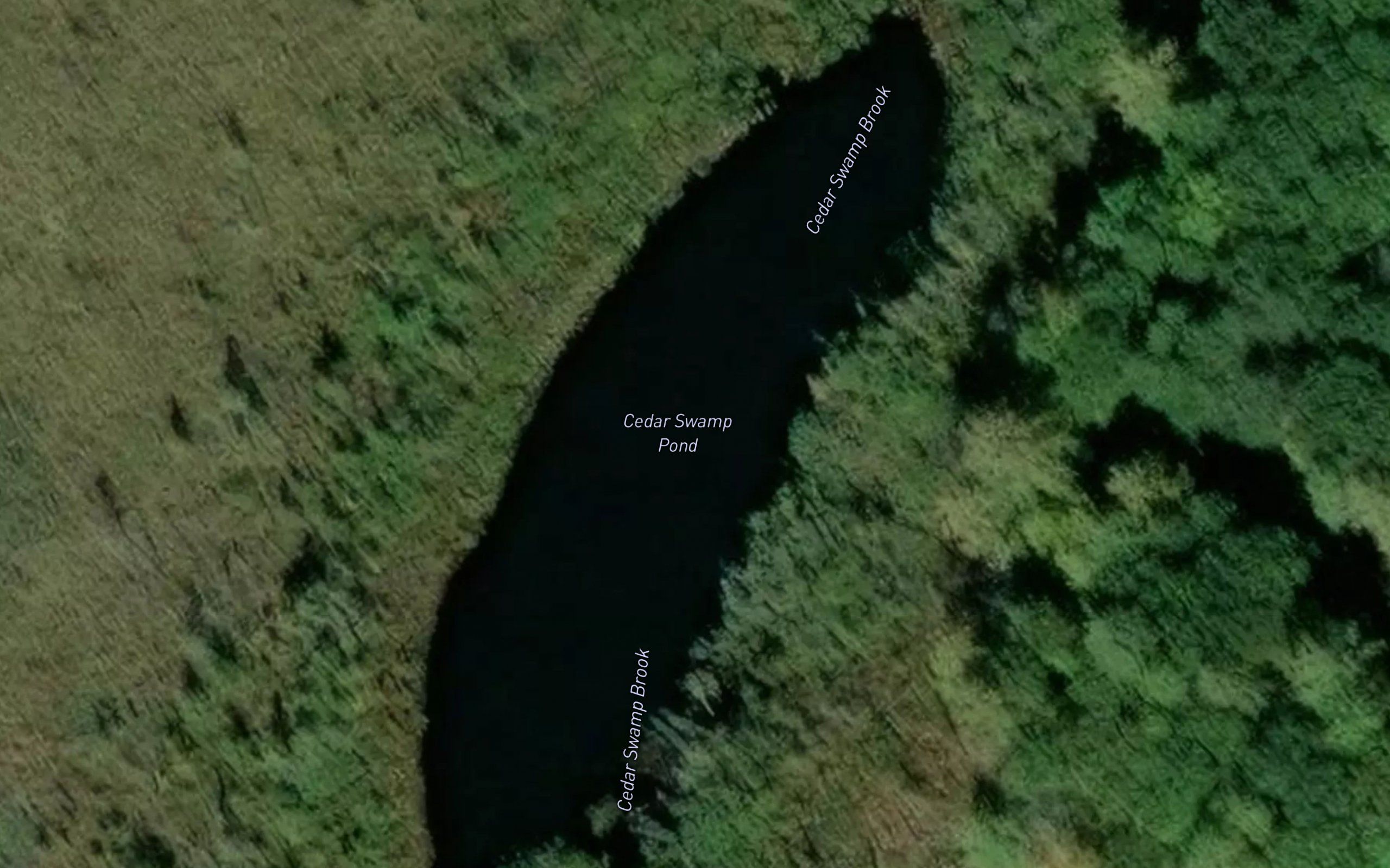 Cedar Swamp Pond