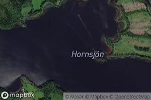 Hornsjon