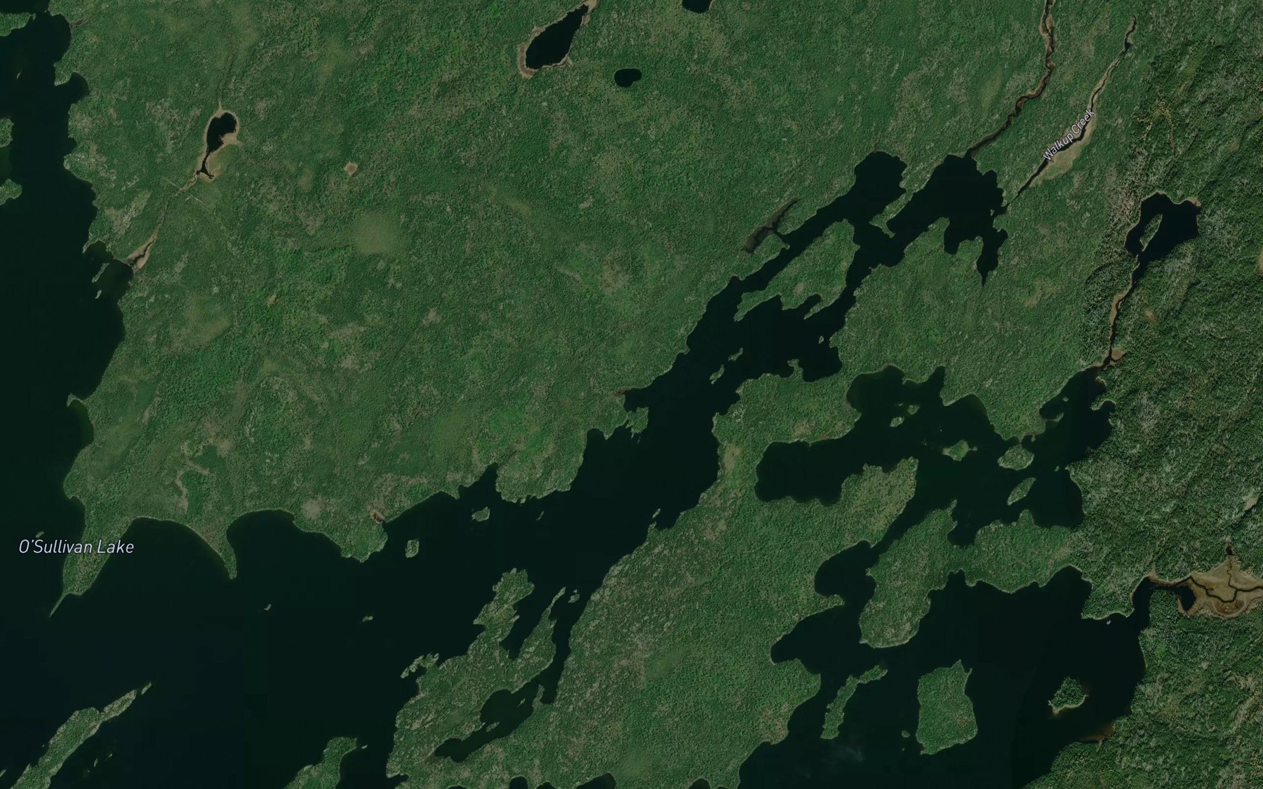 Satellite map of the Northeast Arm