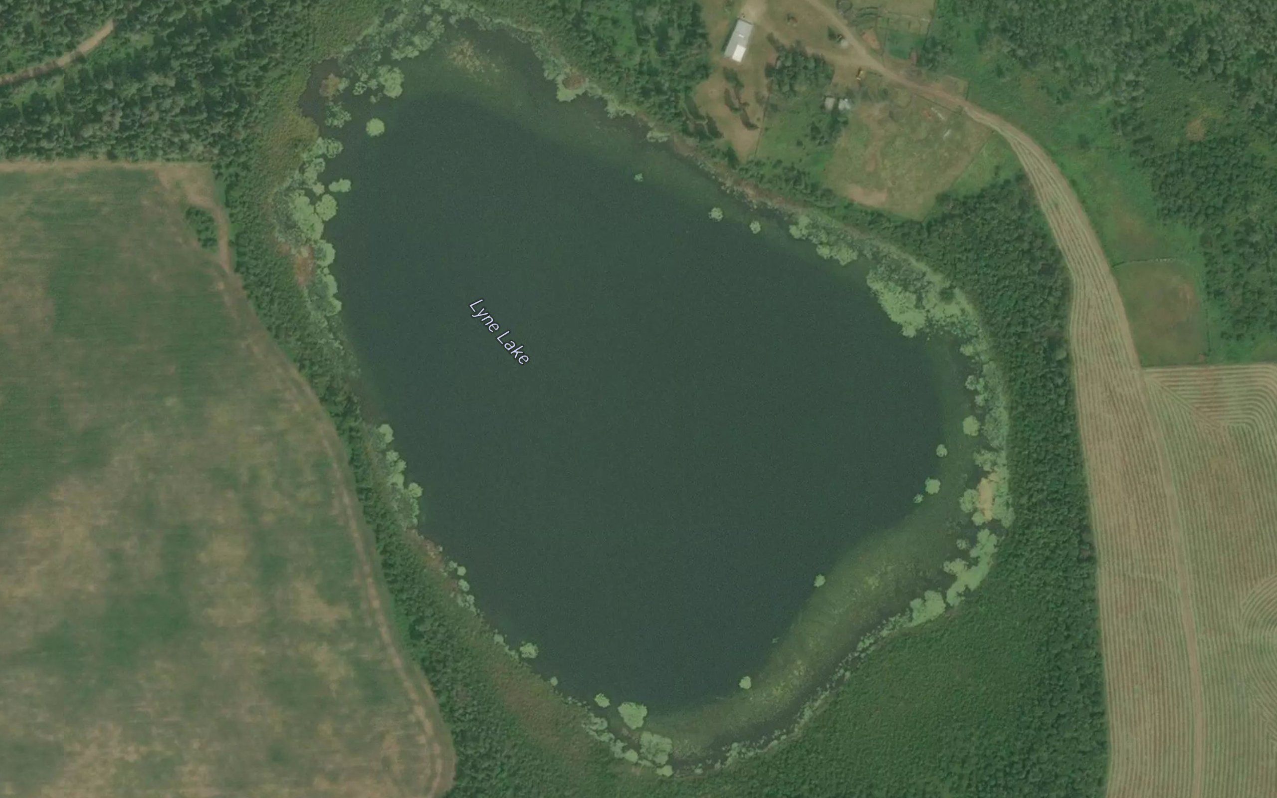 Lyne Lake