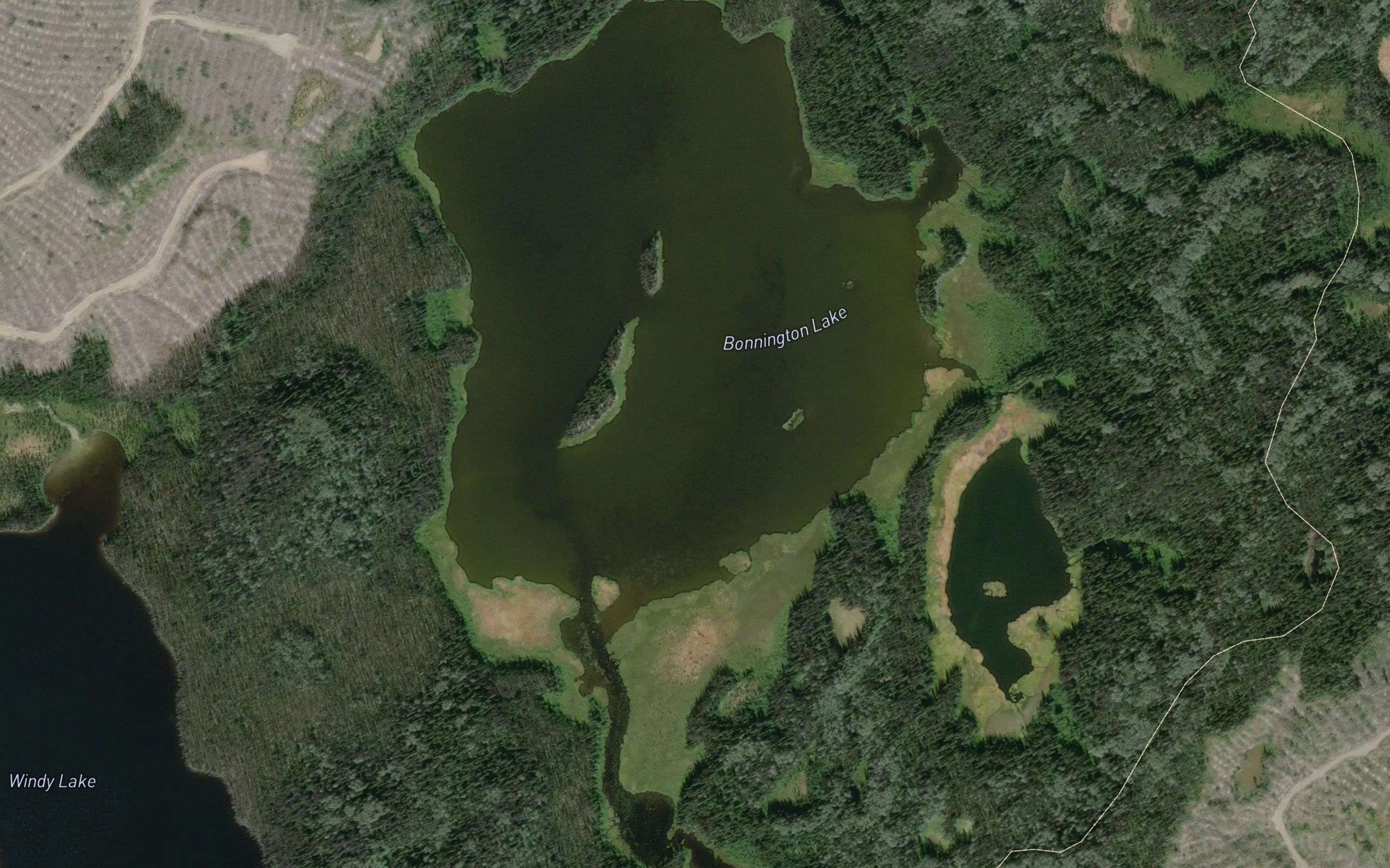 Bonnington Lake