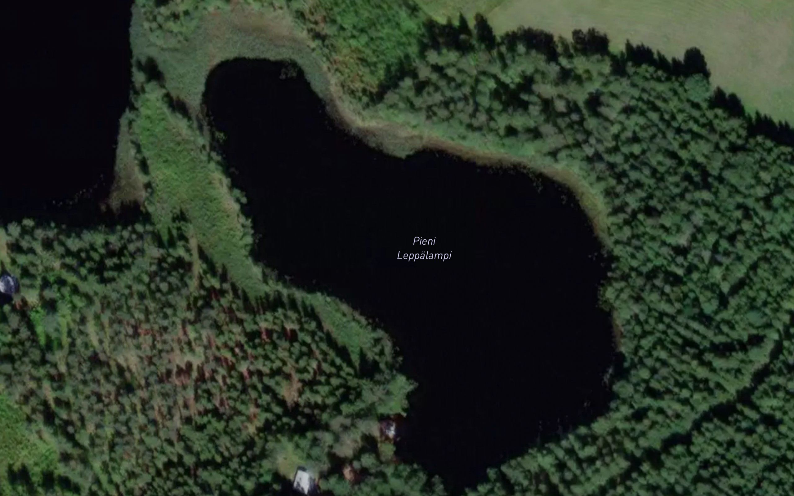 Pieni Leppalampi