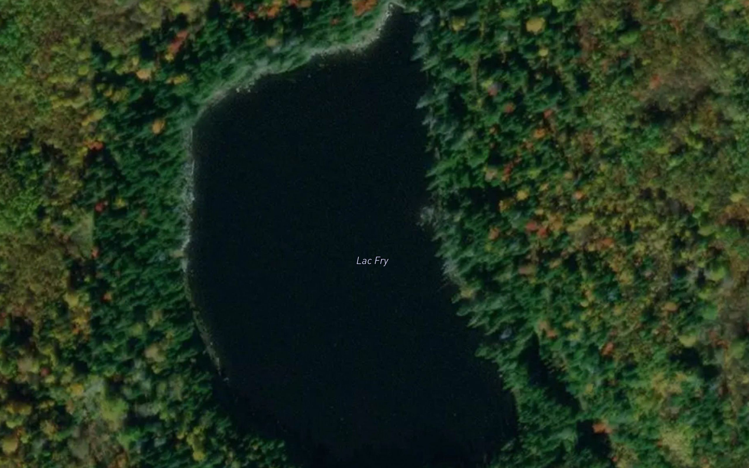 Lac Fry