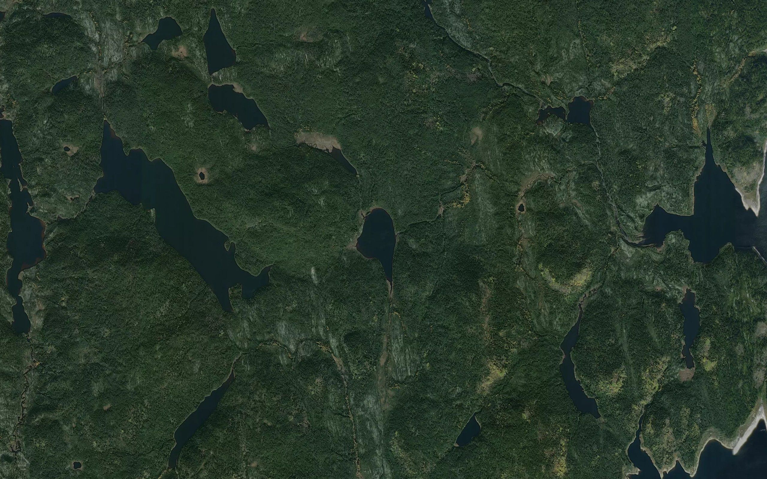 Lac du Bassin