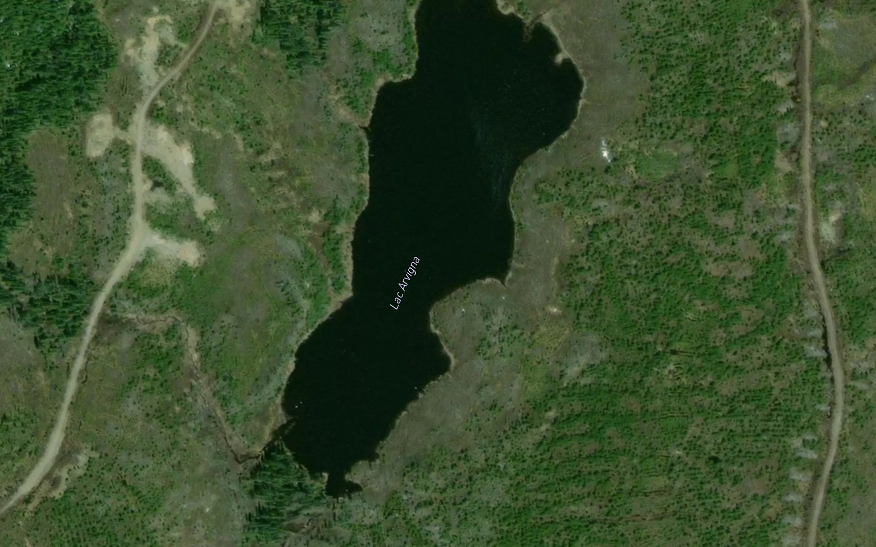 Satellite map of the Lac Arvigna