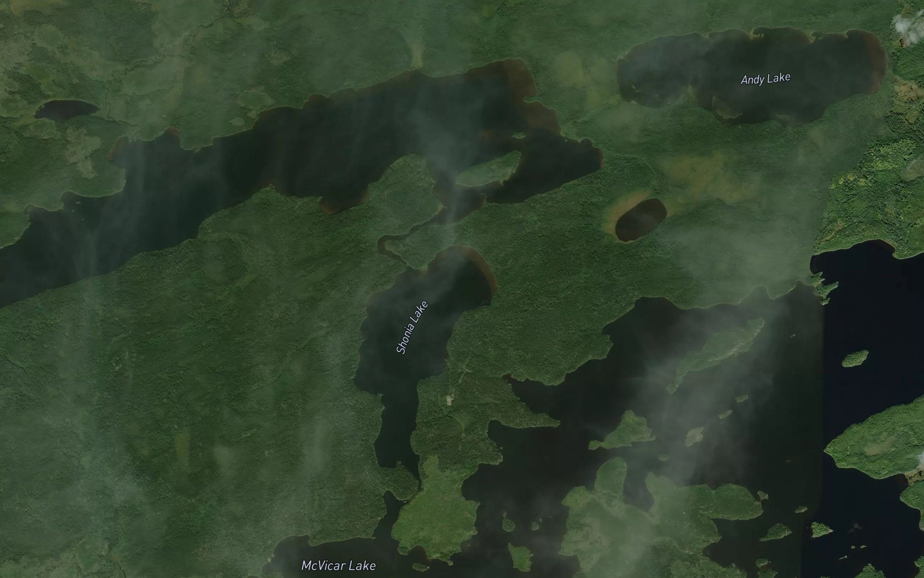 Satellite map of the Bertrand River