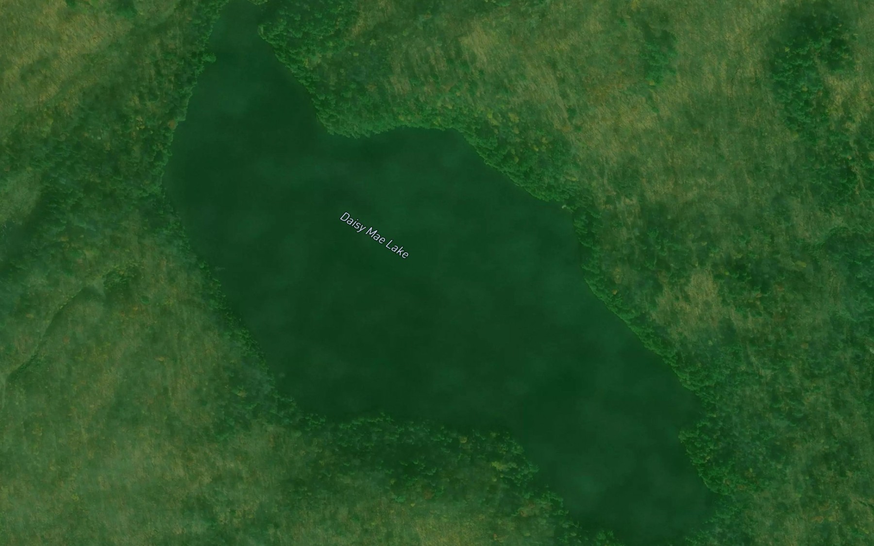 Satellite map of the Daisy Mae Lake