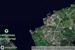 Mortveitvik