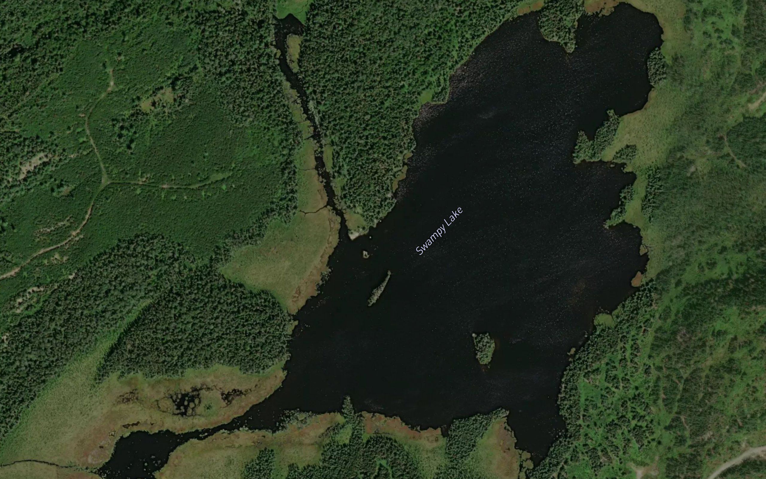 Swampy Lake