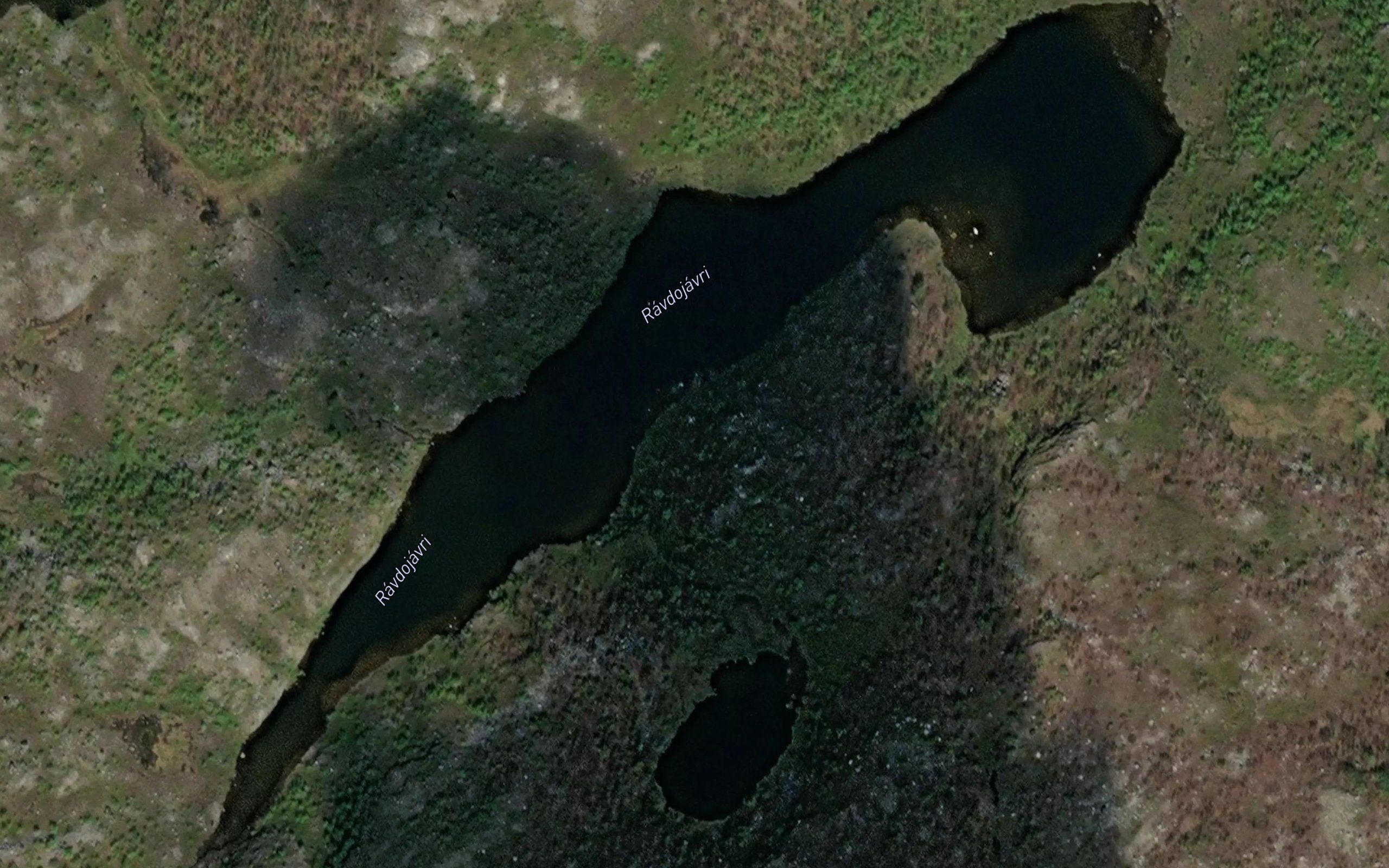 Ravdujavri