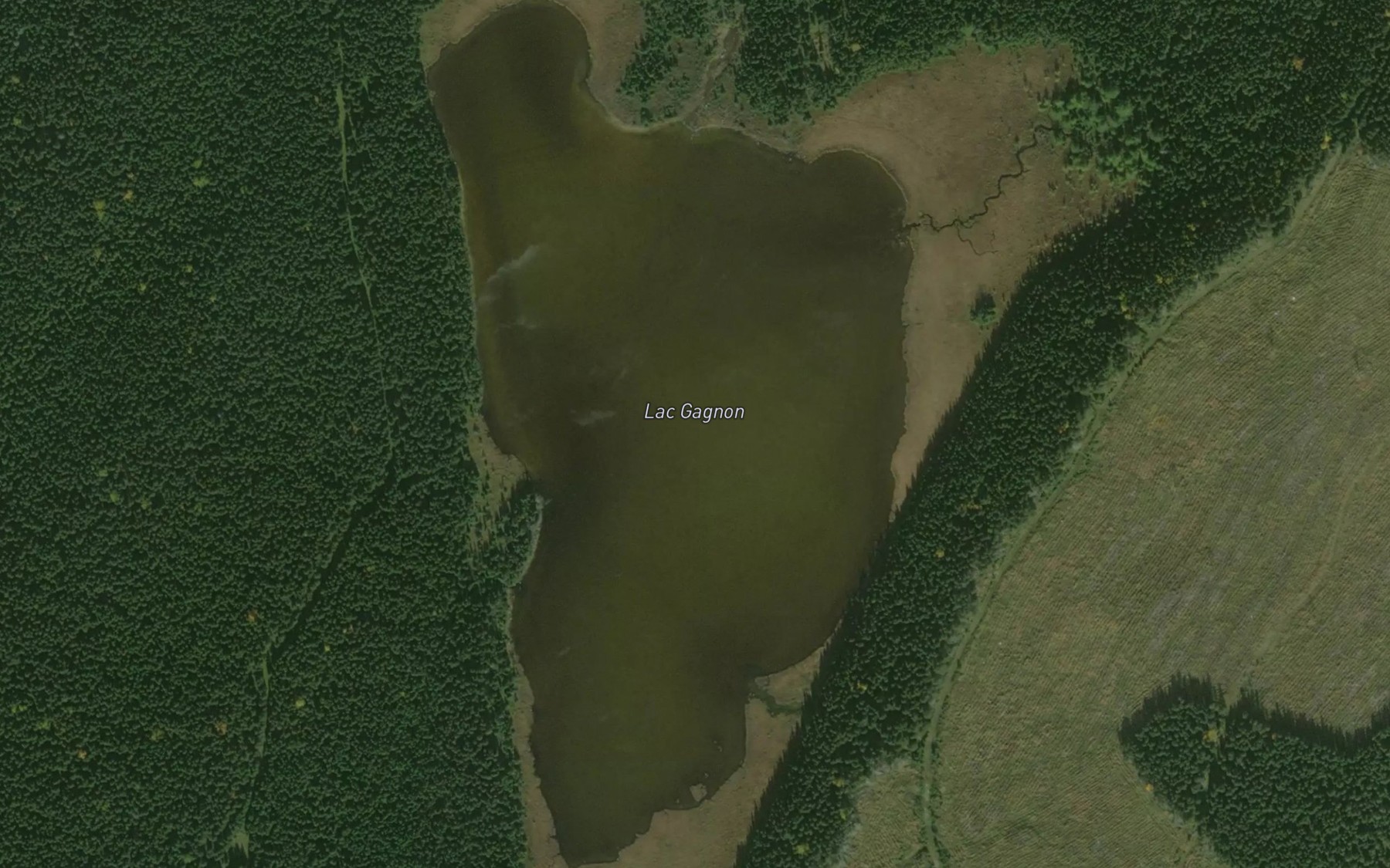 Satellite map of the Lac Gagnon