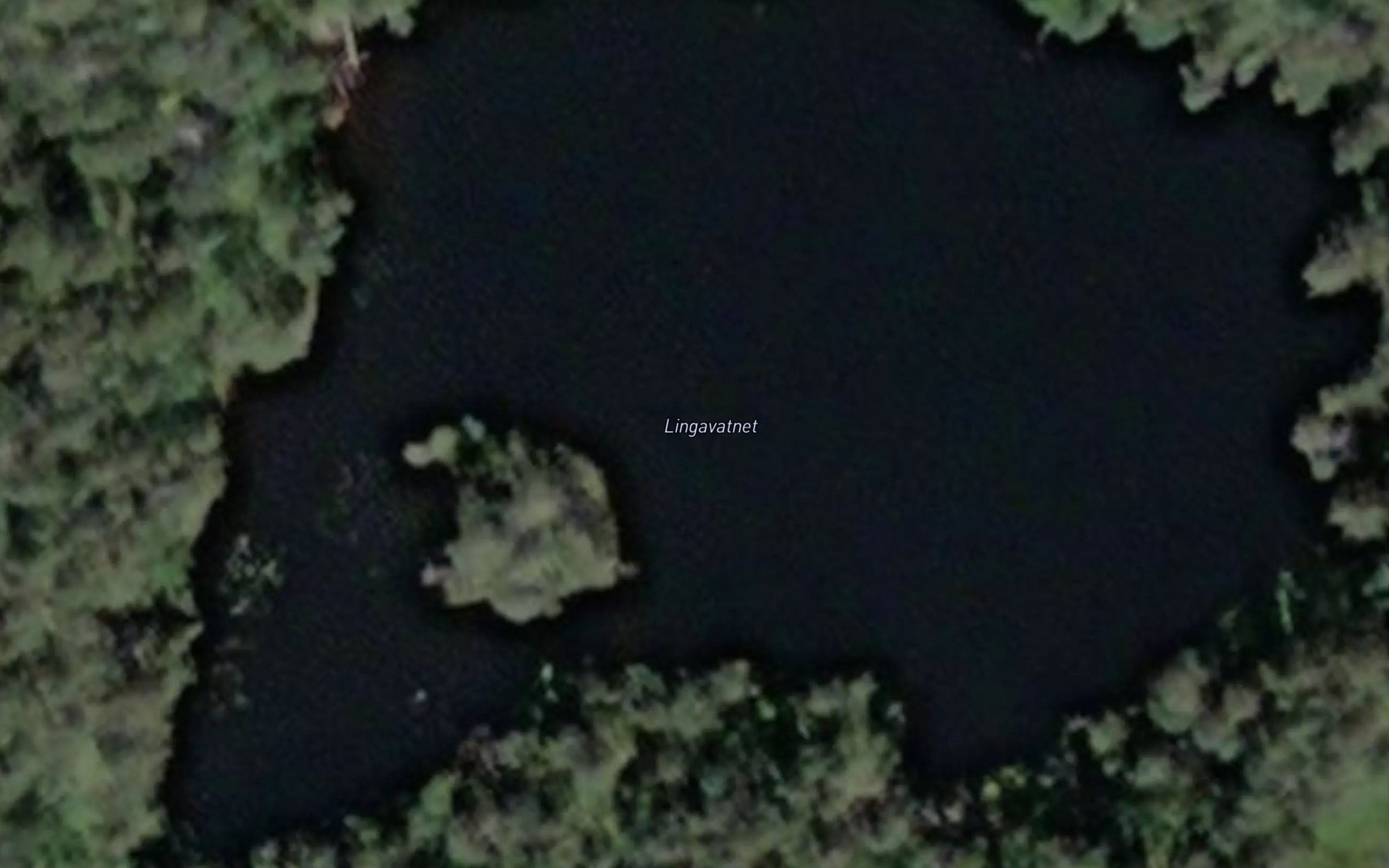 Satellite map of the Lingavatnet
