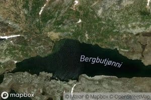Bergbutjonni
