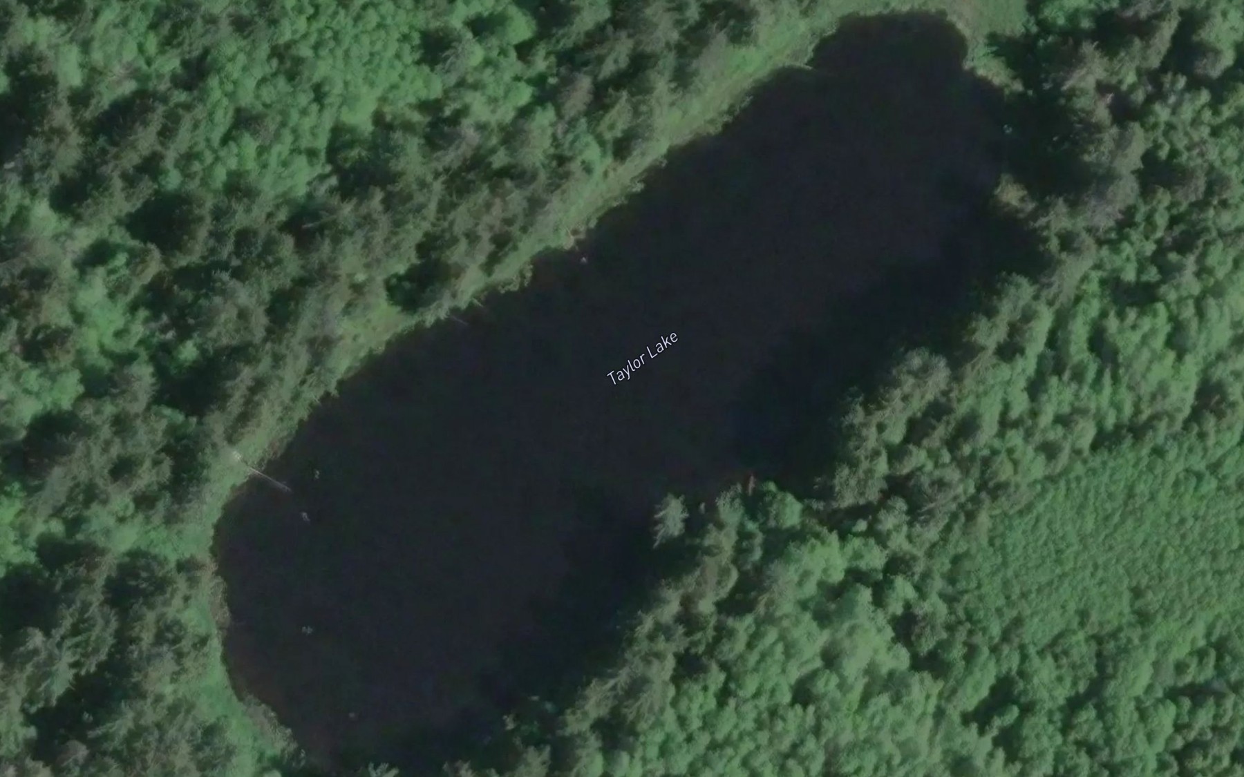 Satellite map of the Taylor Lake