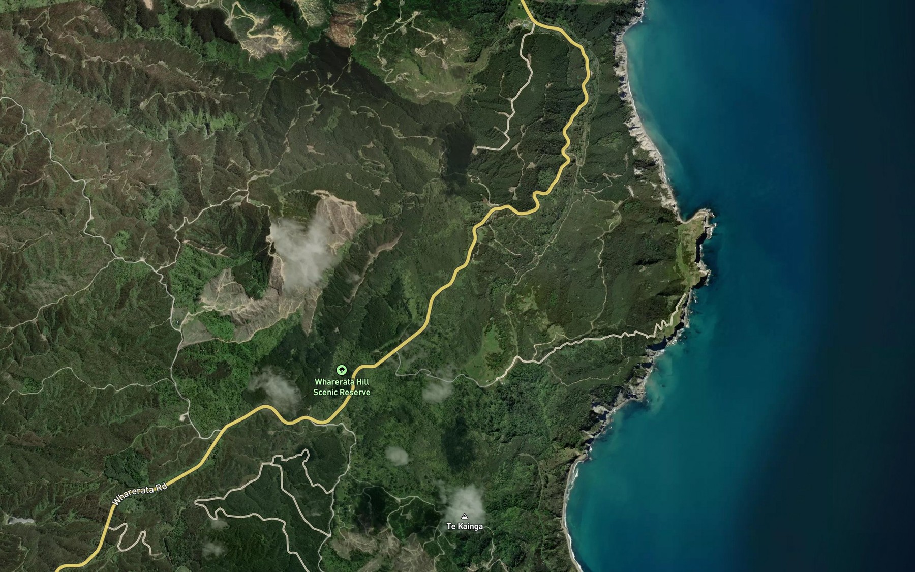 Satellite map of the Waikoura Stream