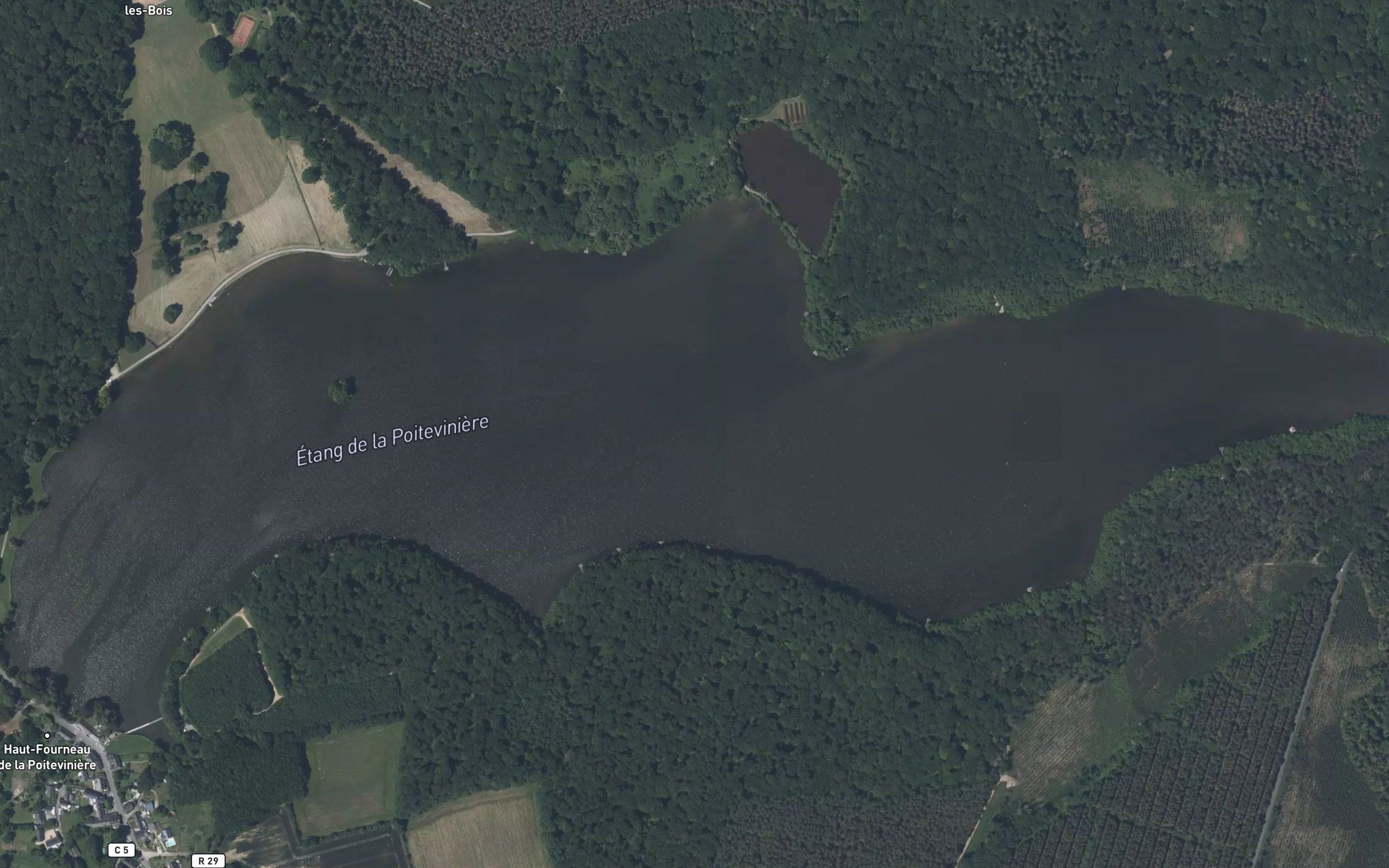 Etang de la Poiteviniere