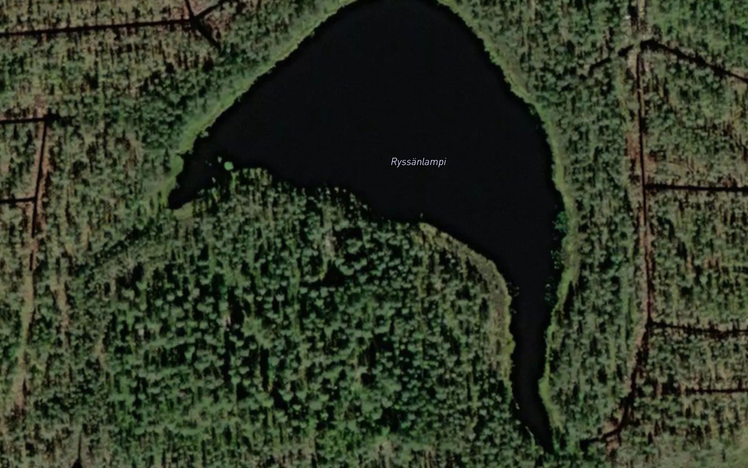 Ryssanlampi
