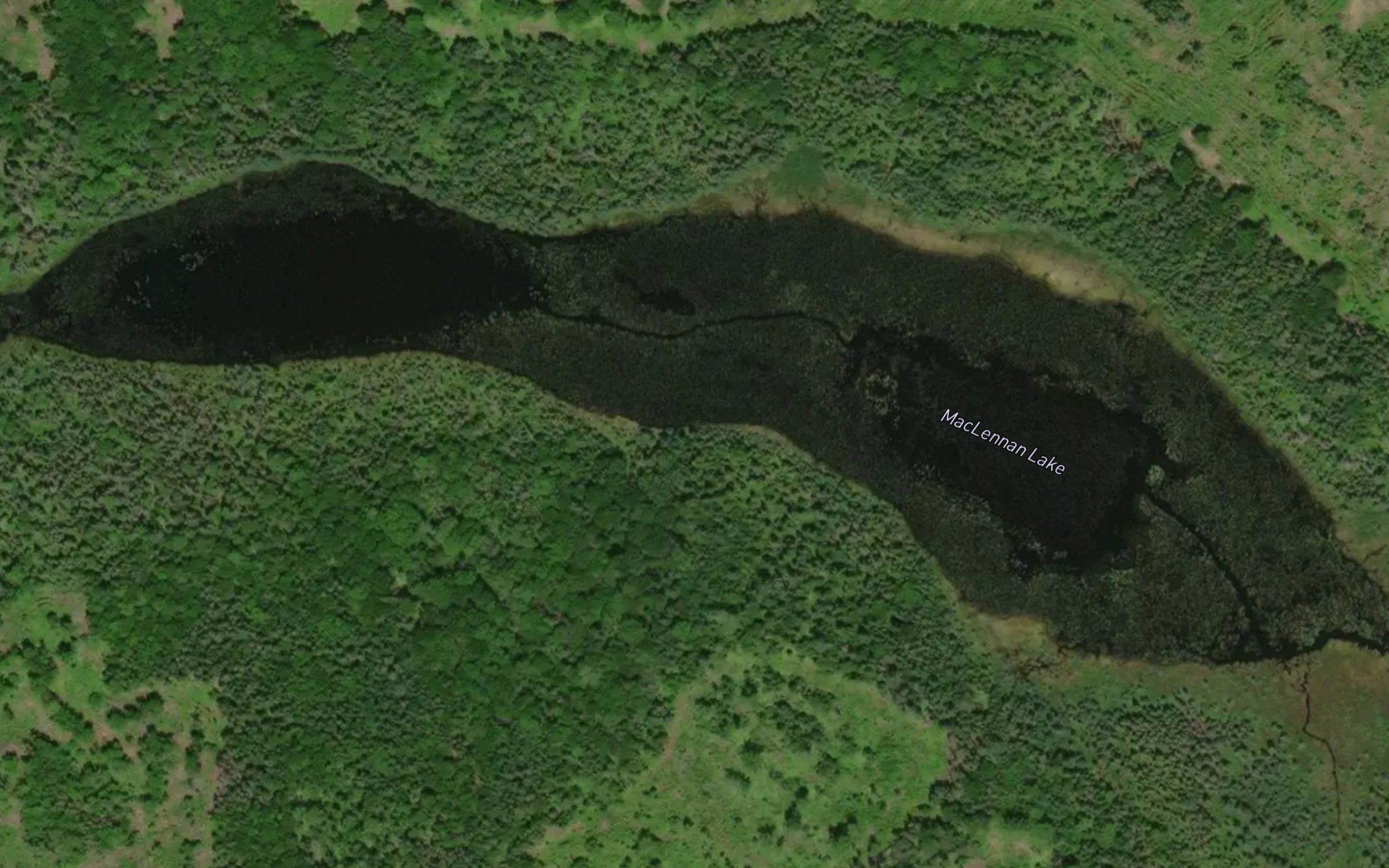 MacLennan Lake