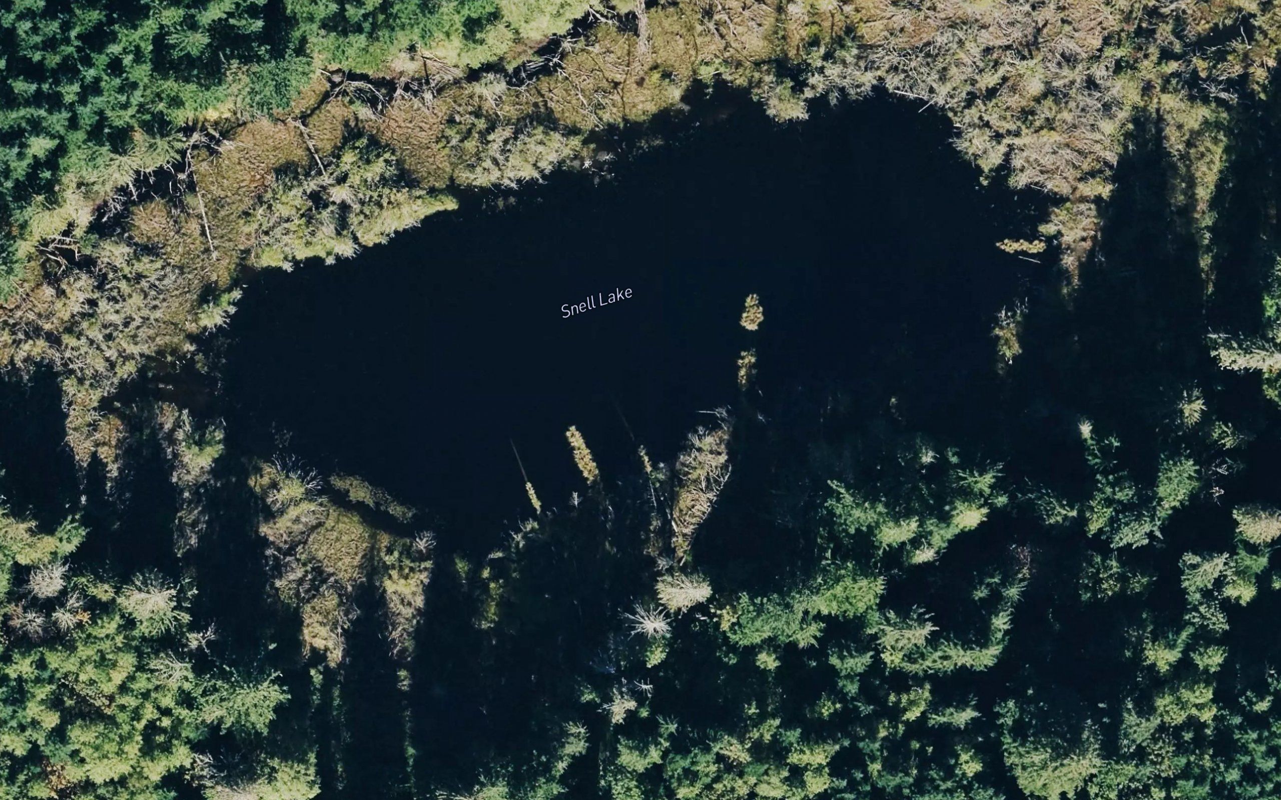 Snell Lake