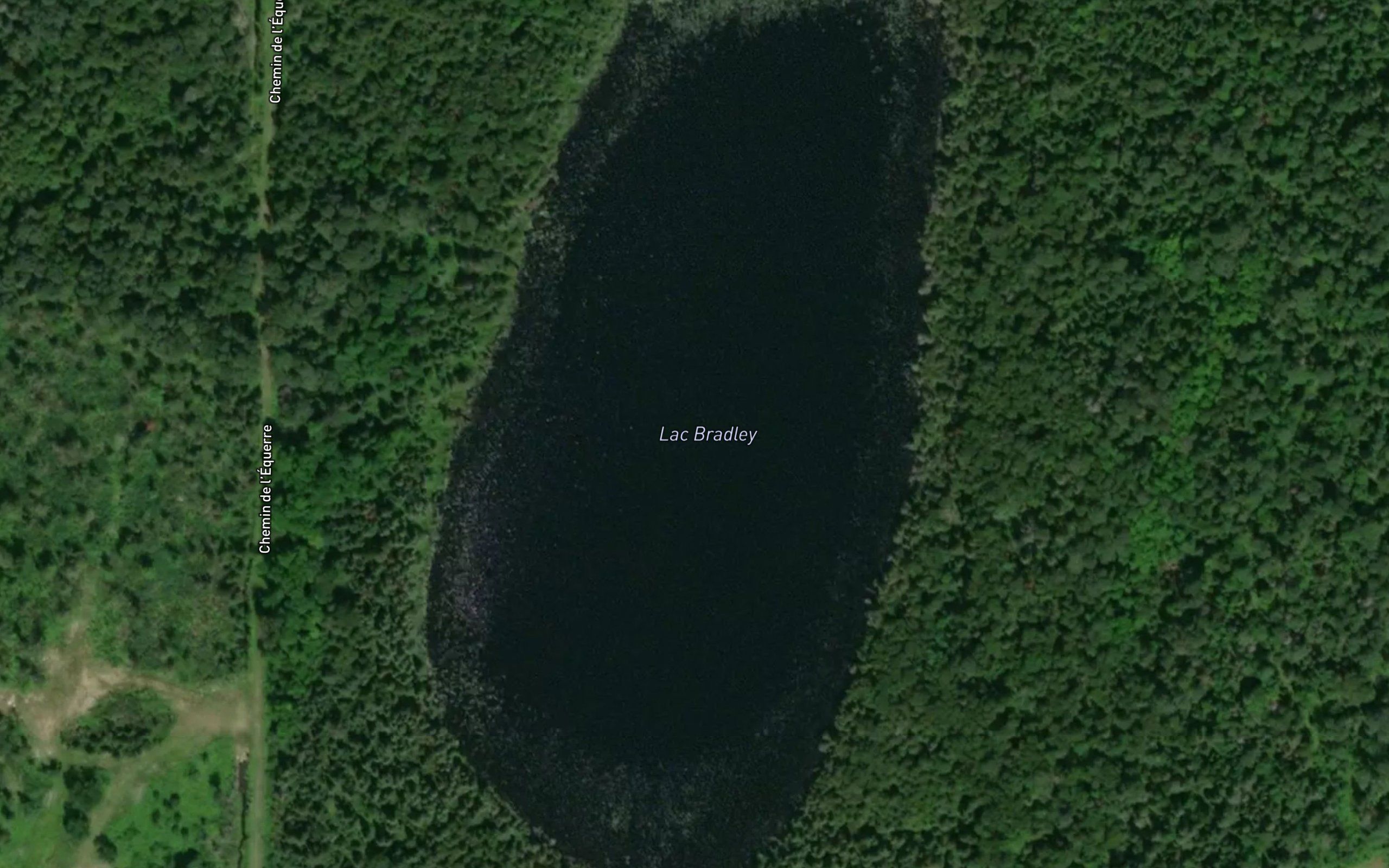 Lac Bradley
