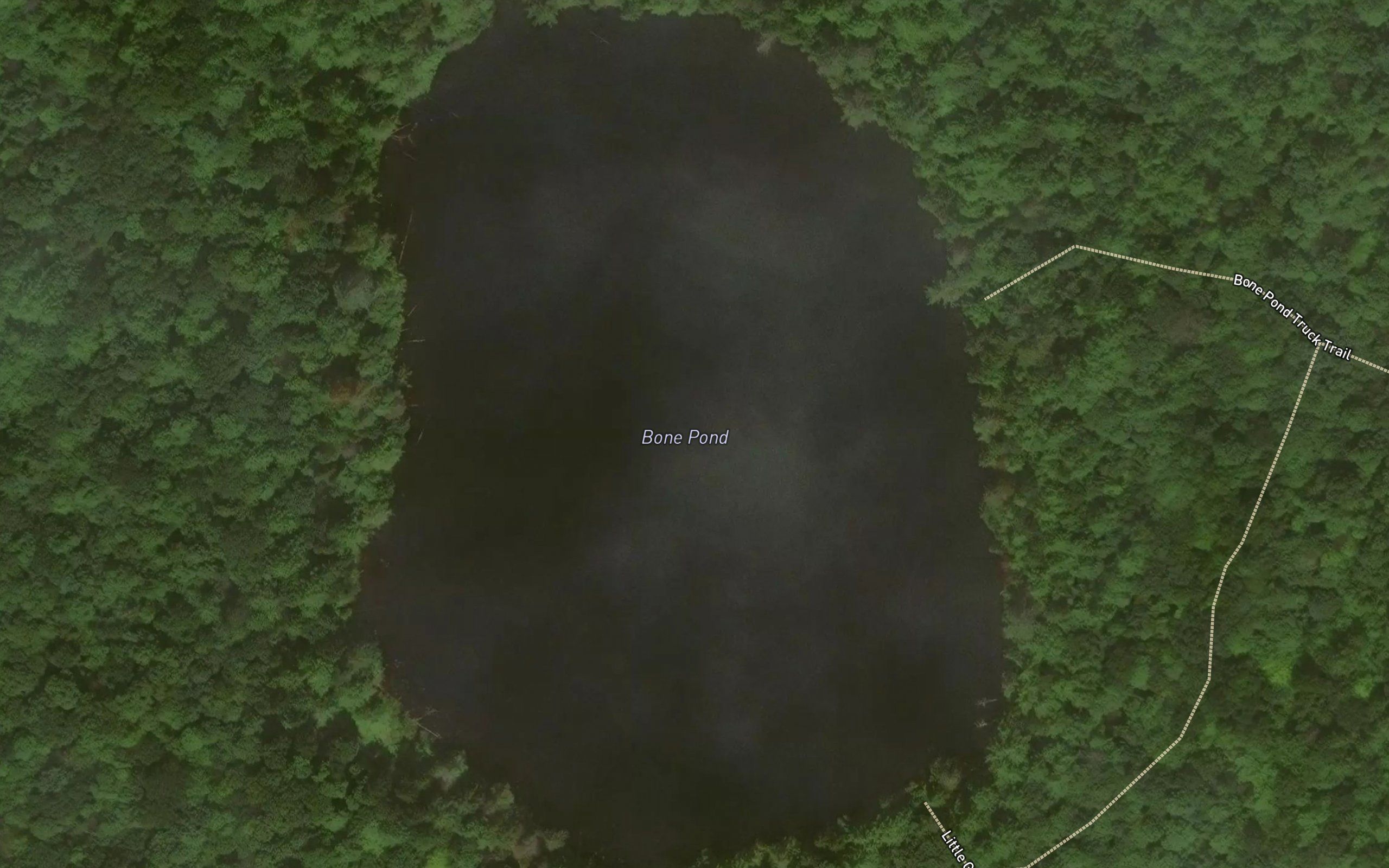 Bone Pond