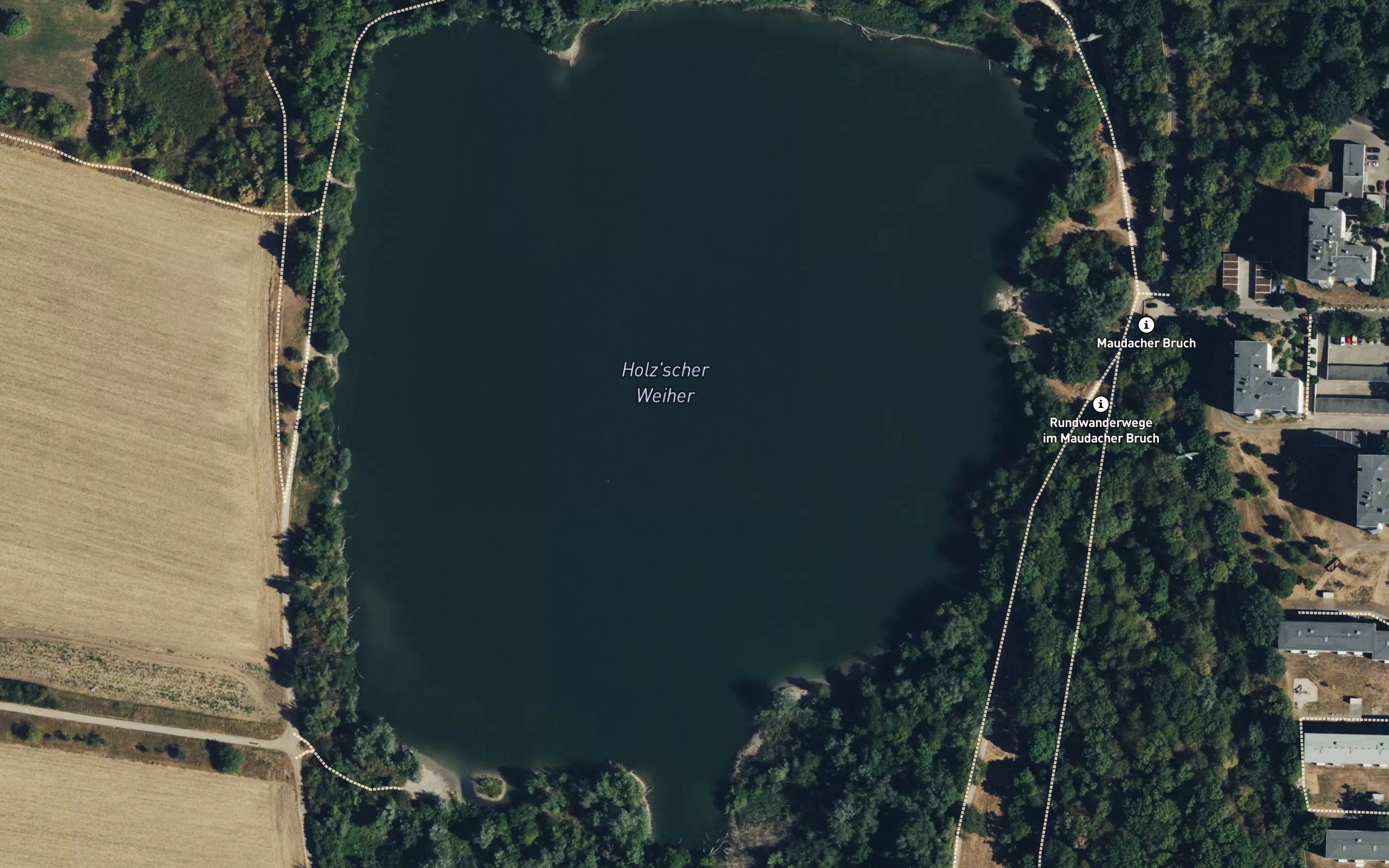 Holzscher Weiher