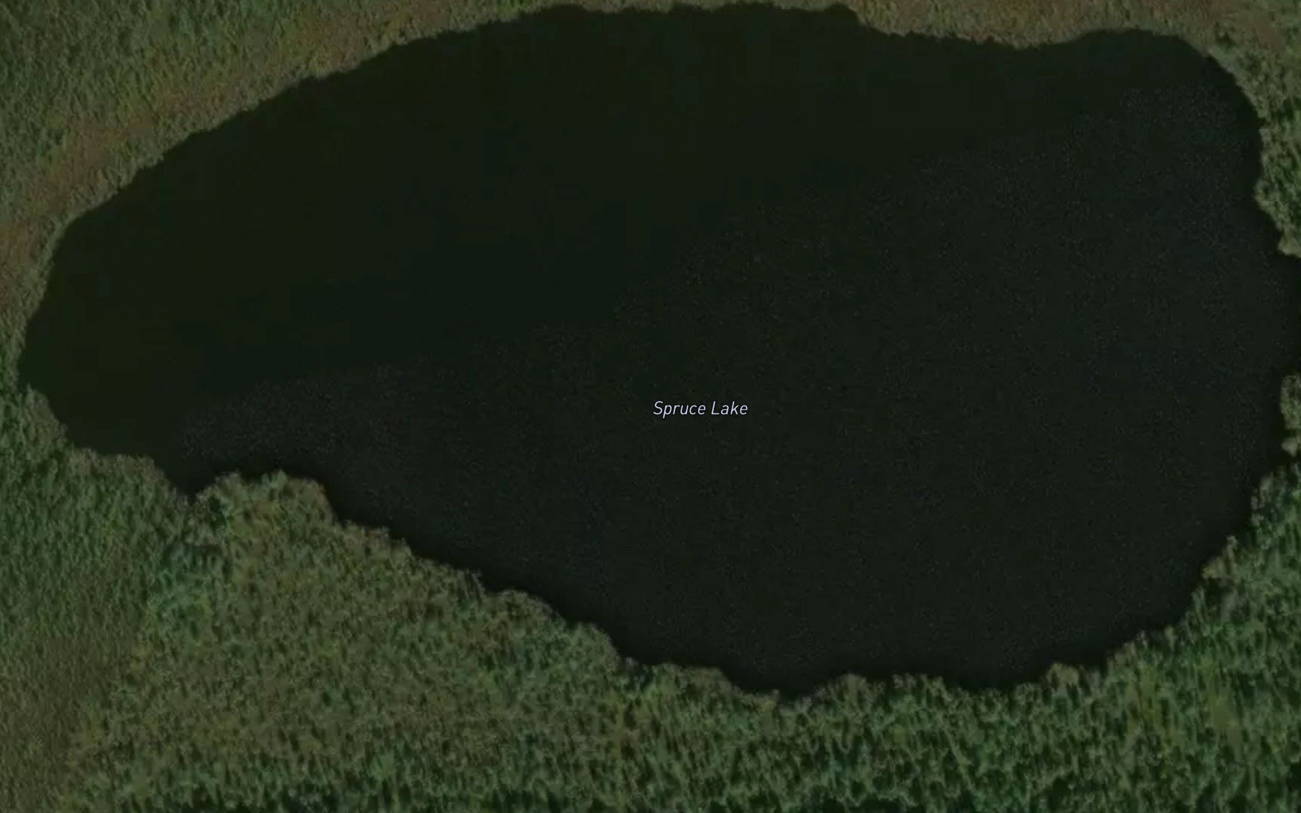 Spruce Lake