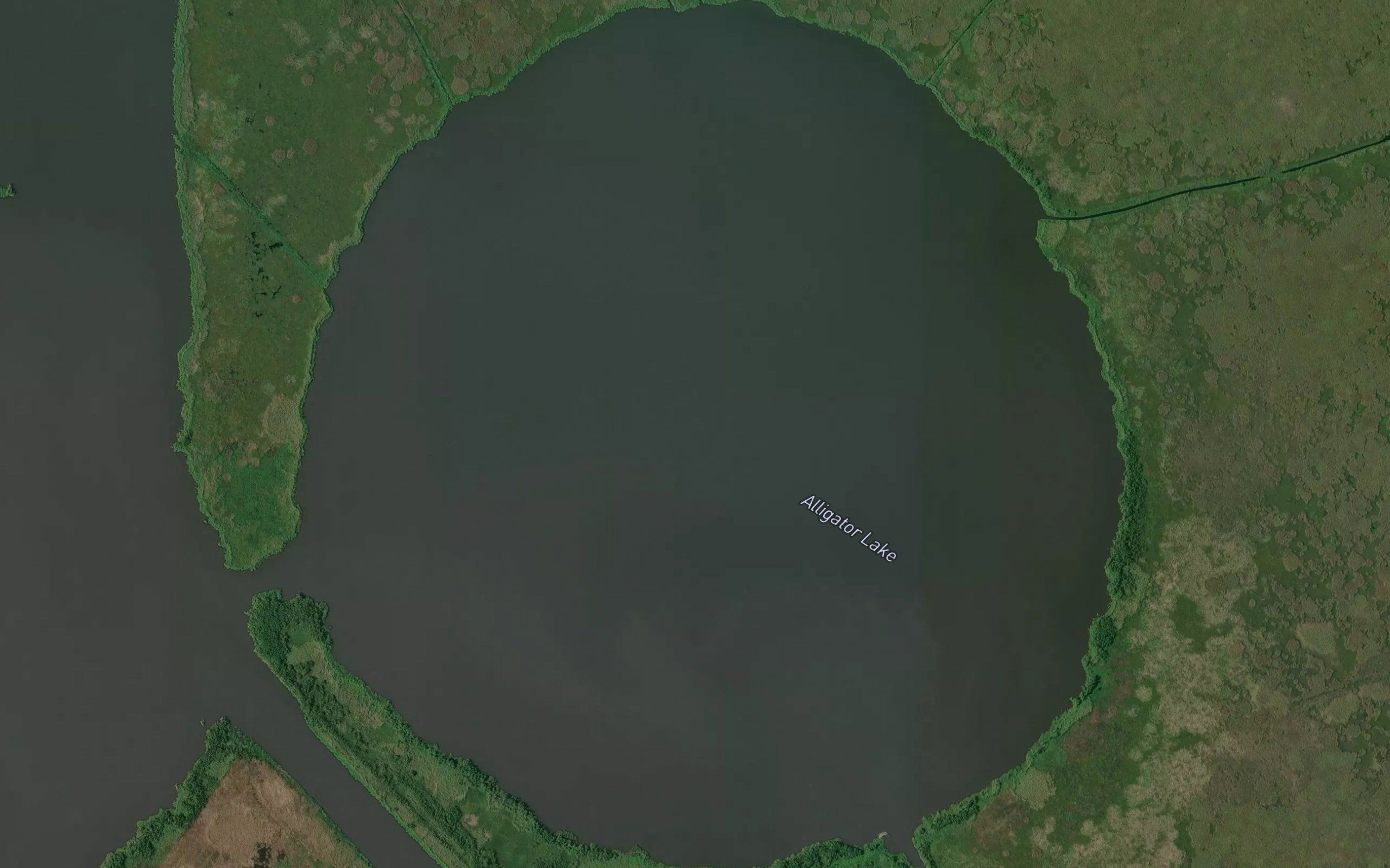 Alligator Lake