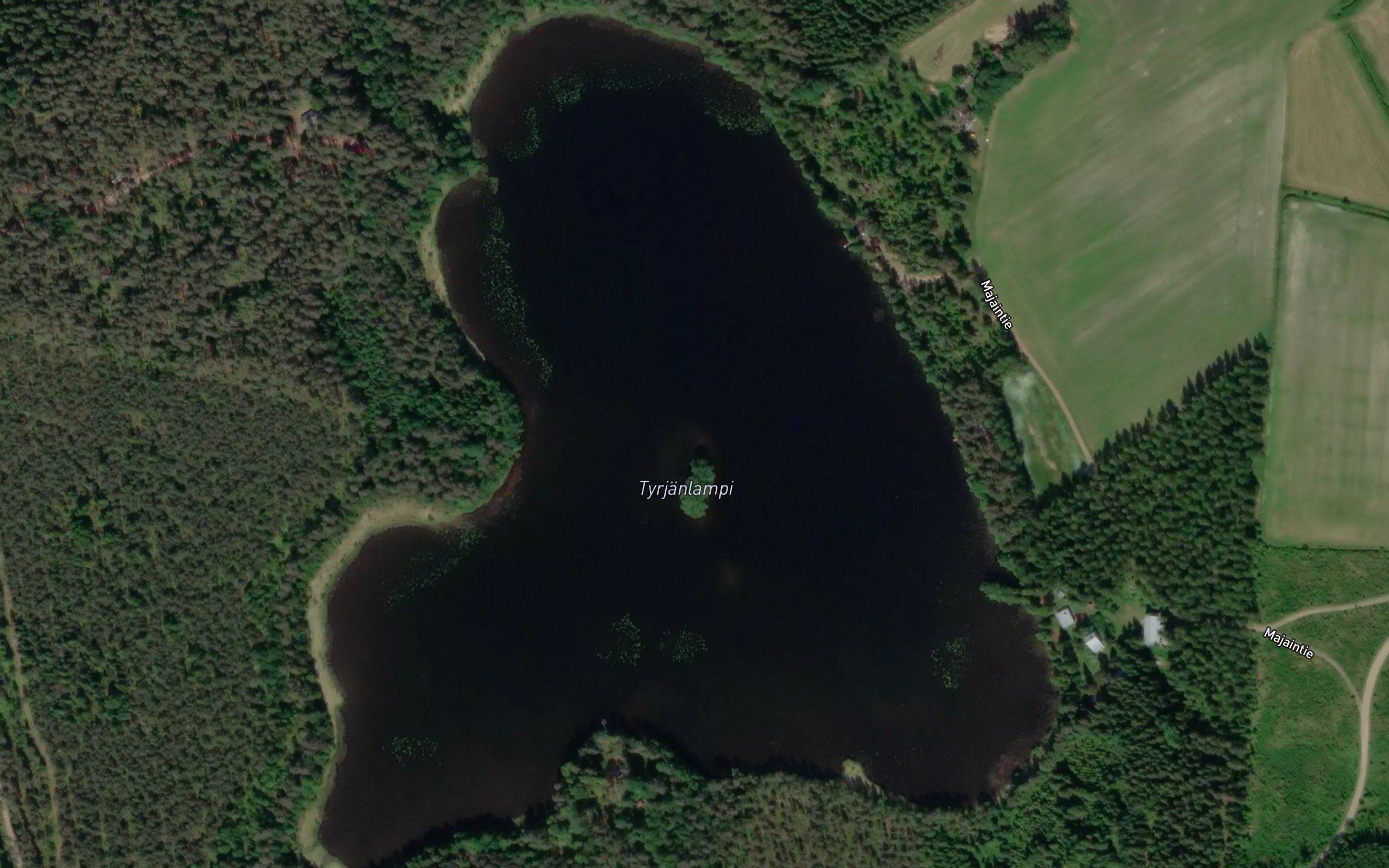 Majainlampi