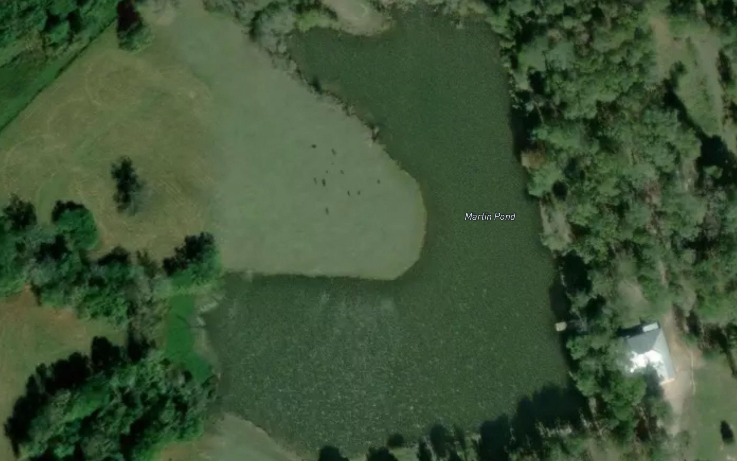 Martin Pond