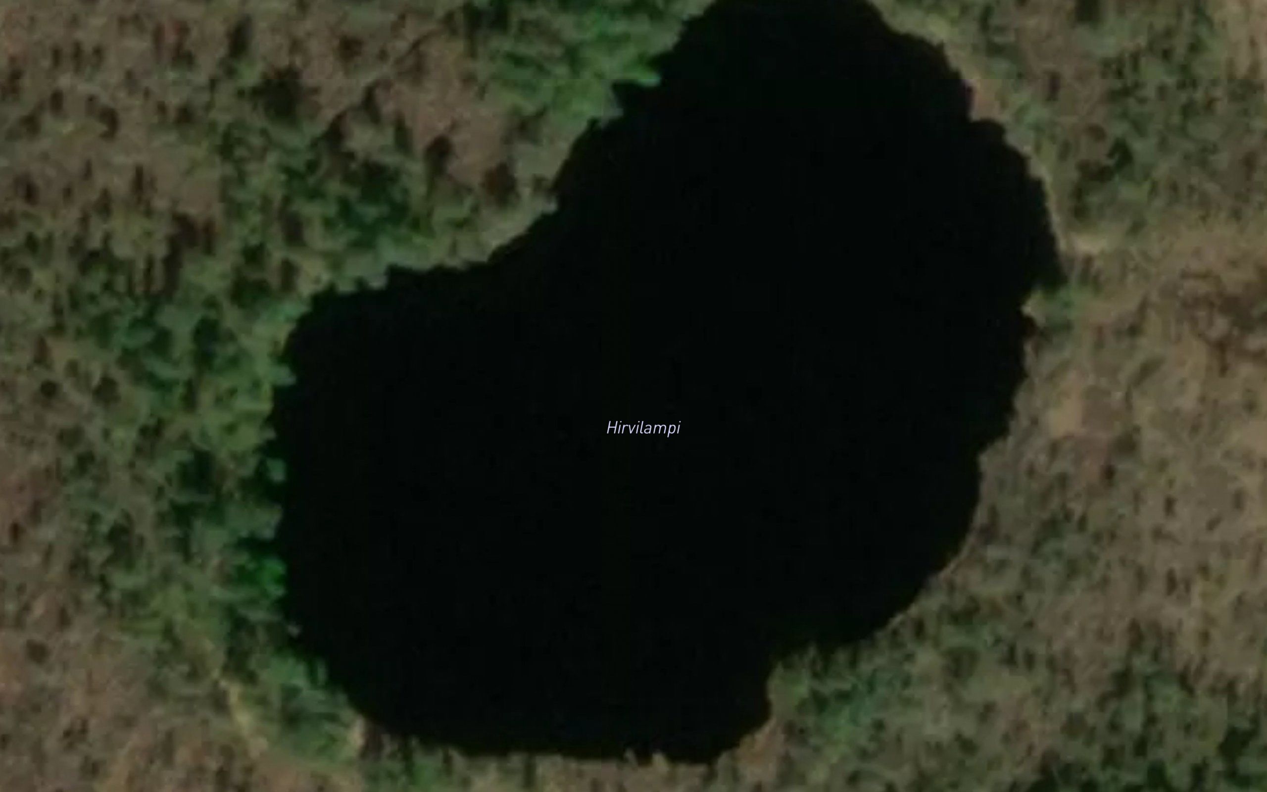 Hirvilampi