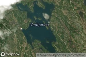 Vedtjorna