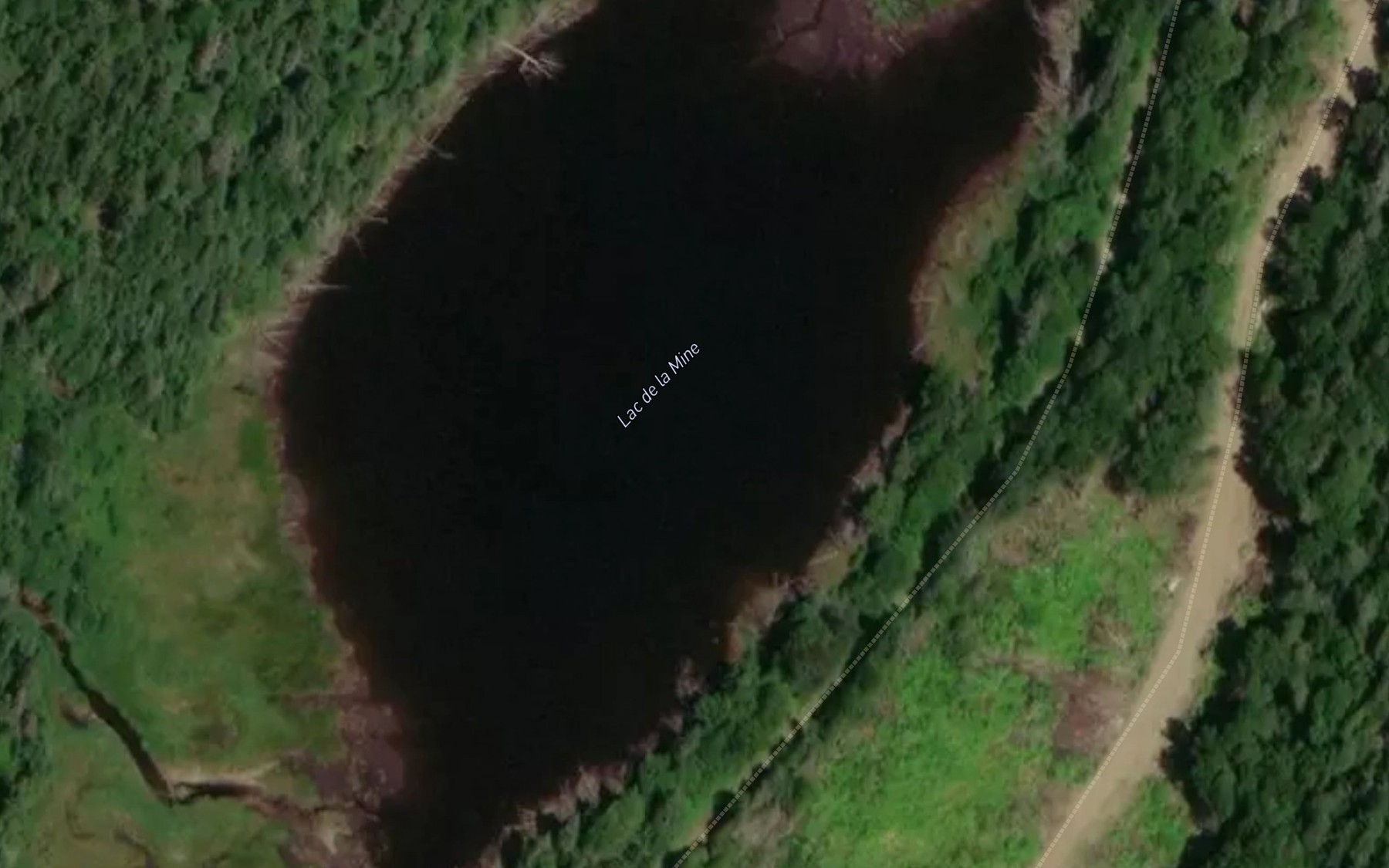 Satellite map of the Lac de la Mine