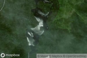 Misty Lake