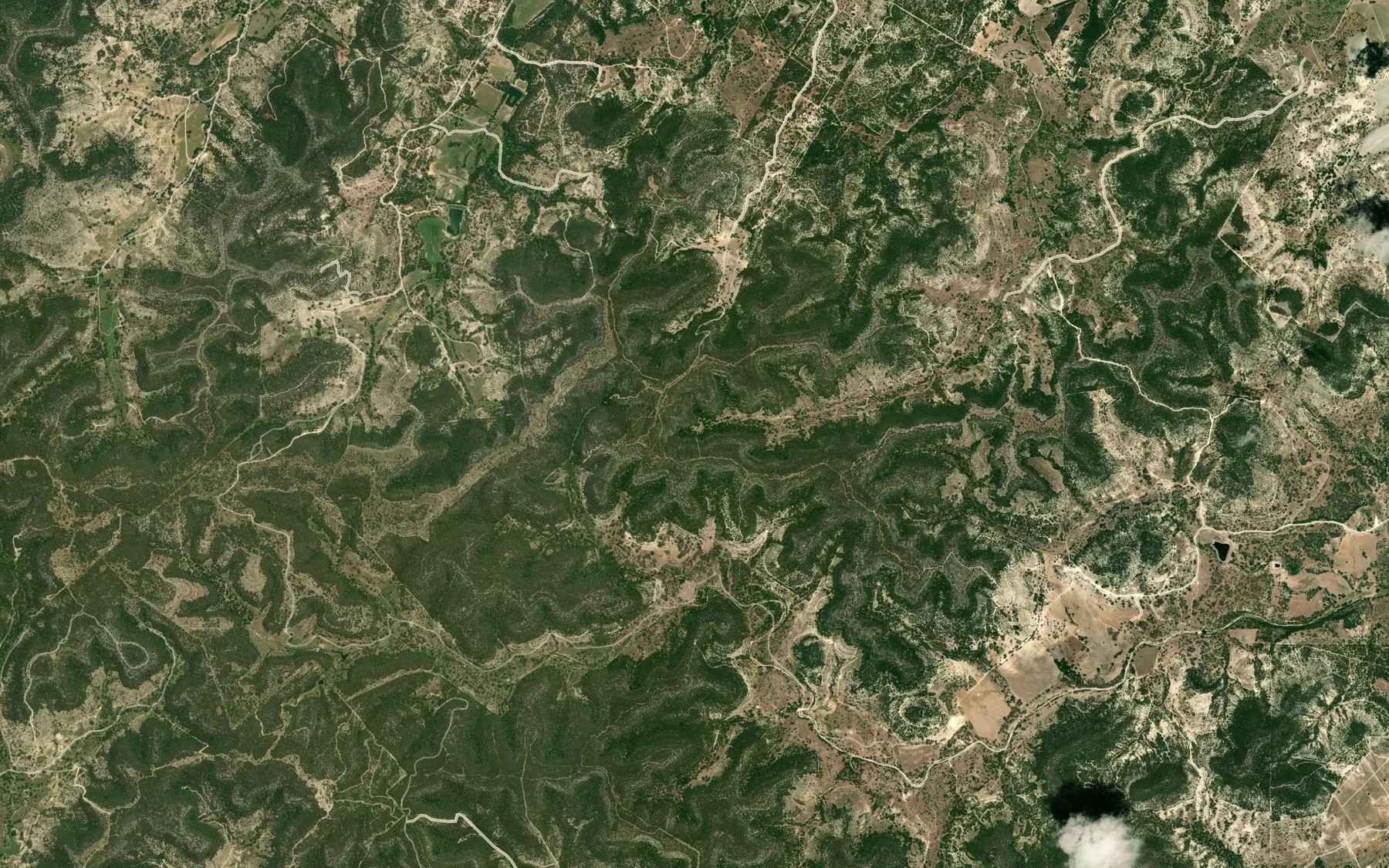 Satellite map of the Walker Creek