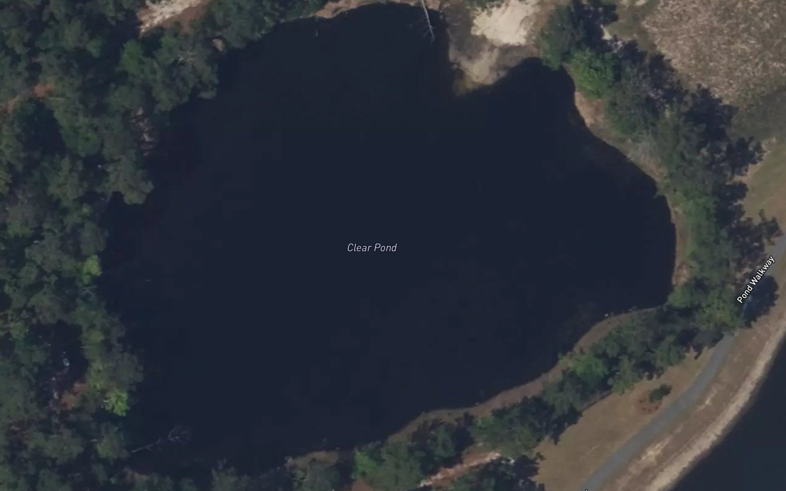 Clear Pond