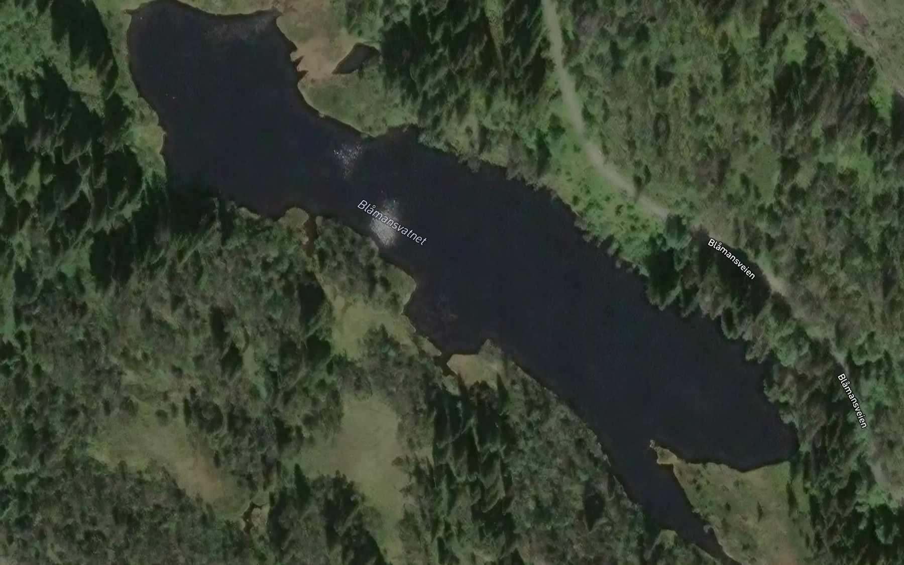 Satellite map of the Blamansvatnet