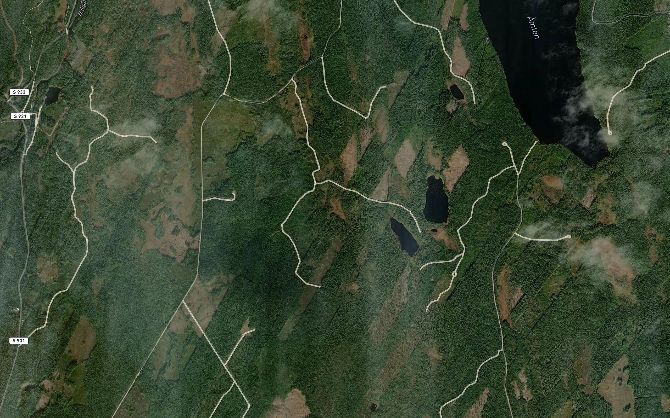 Backlidbergstjarnarna